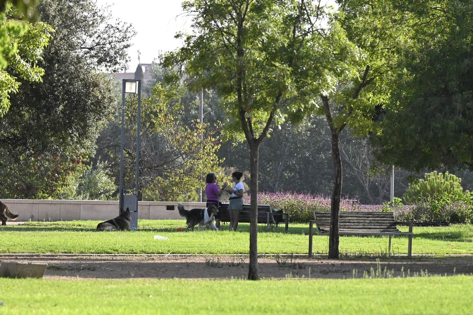Un día de verano por Miraflores y el Campo de la Verdad
