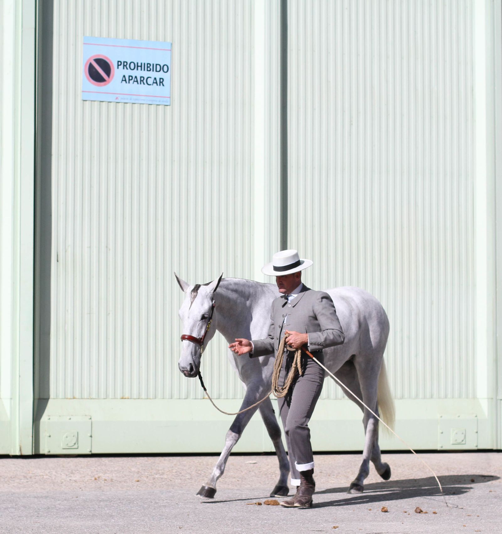 Sicab calienta motores.