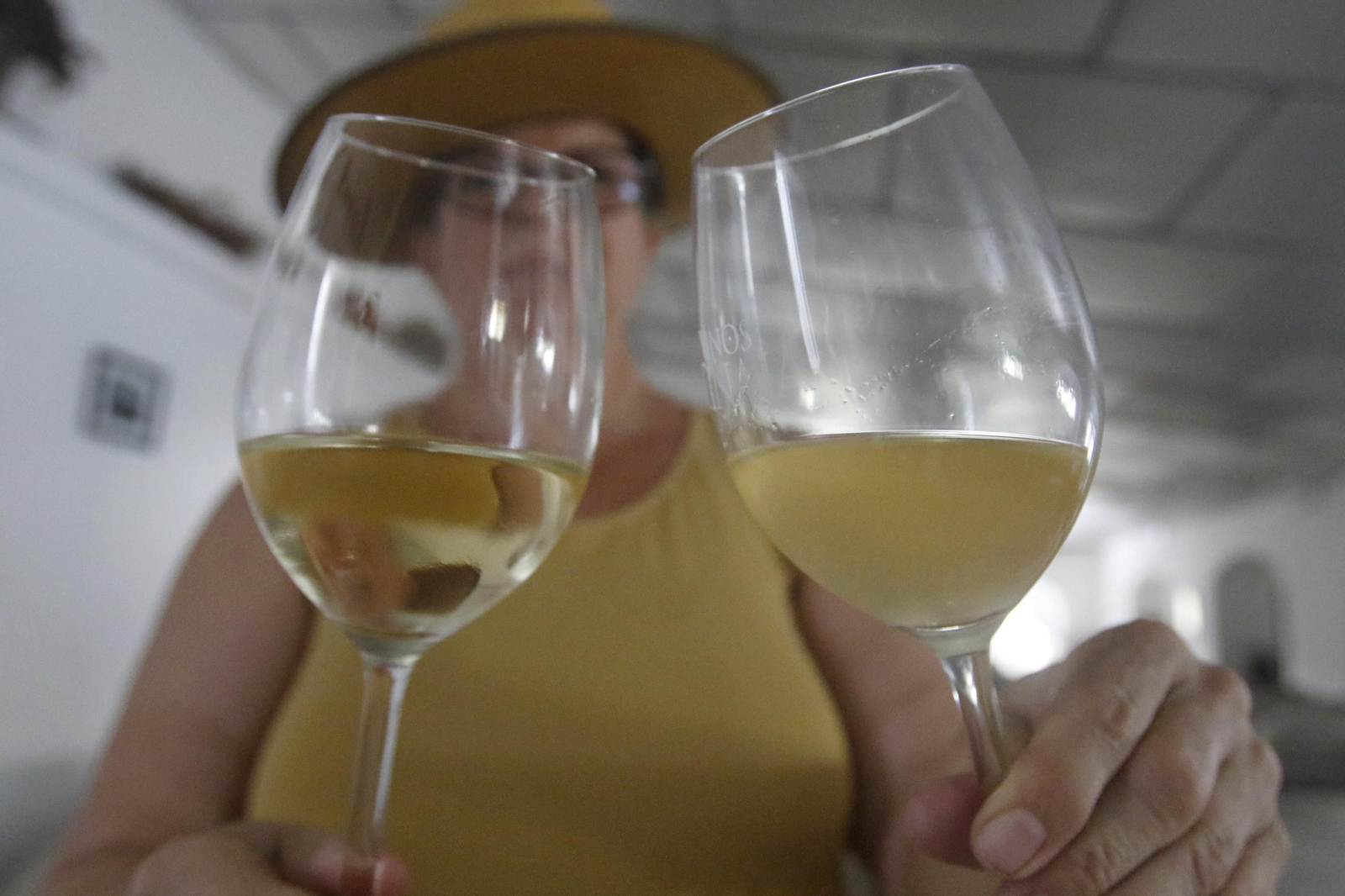 La vendimia en Montilla-Moriles, en fotografías