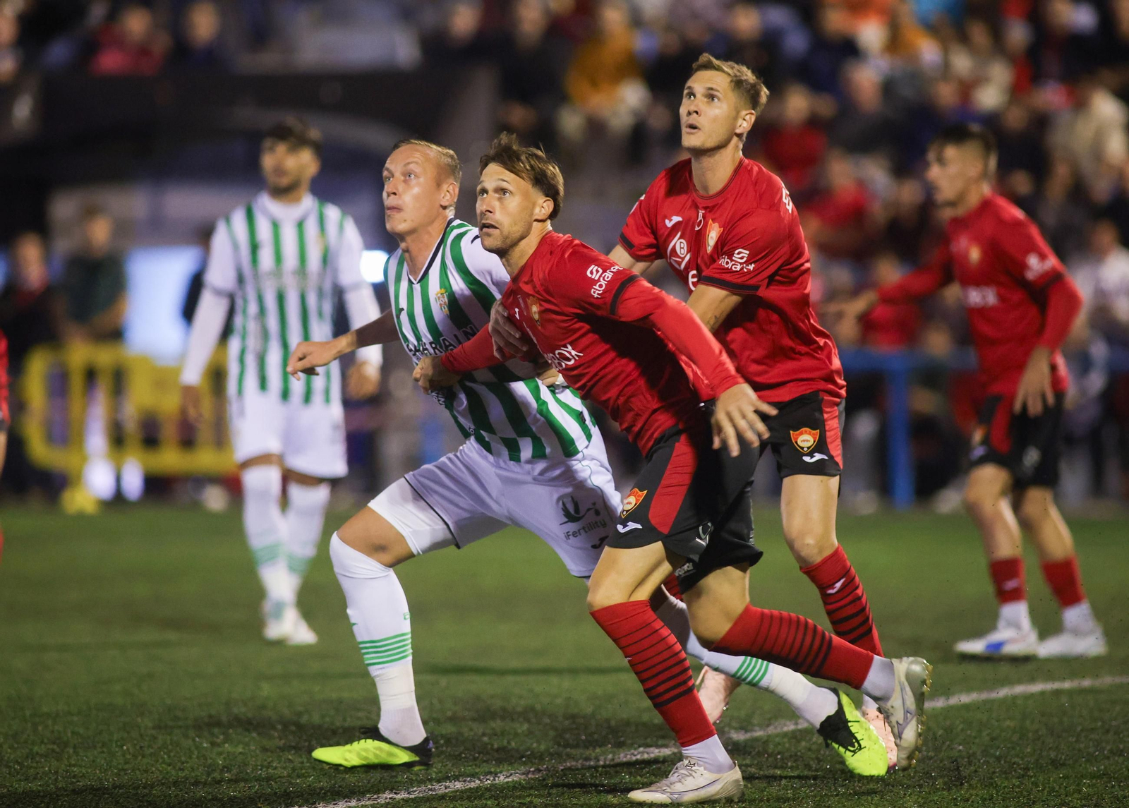 Obolskii, durante el Cieza - Córdoba de Copa del Rey.