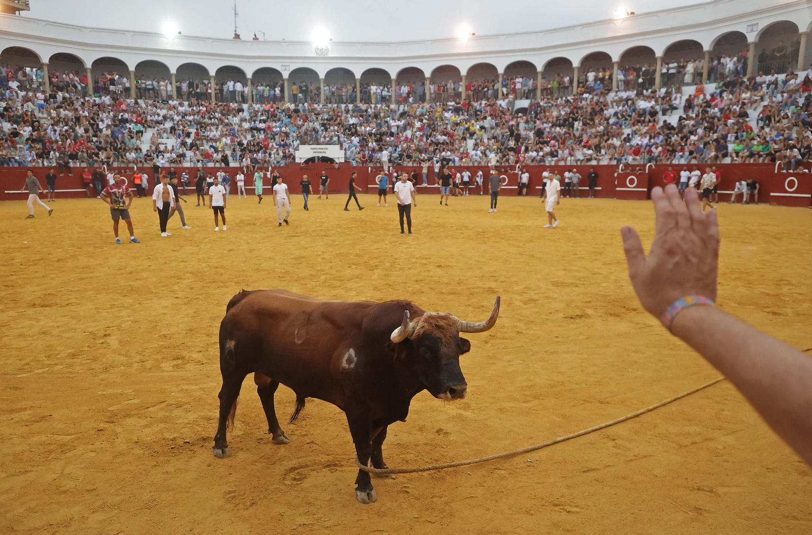 Las mejores fotos del Toro del Aguardiente en San Roque