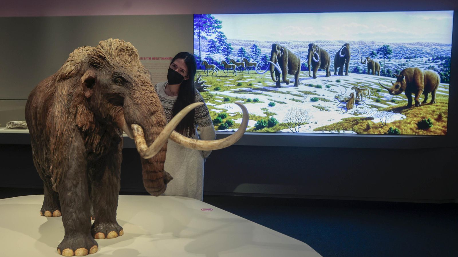 Reproducción de un mamut a pequeña escala que ha realizado el paleoartista Ramón López.