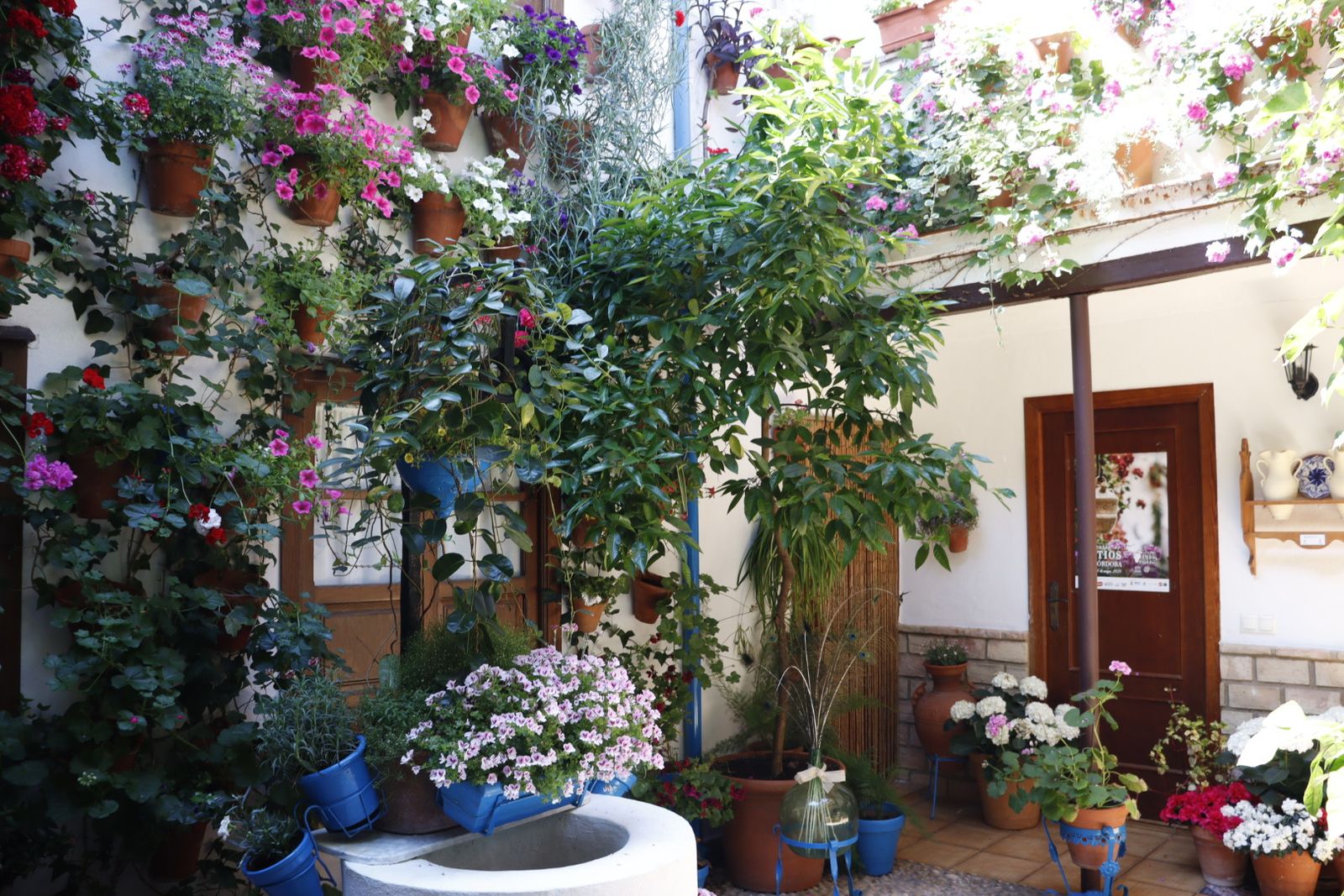 Ruta de los patios de San Lorenzo