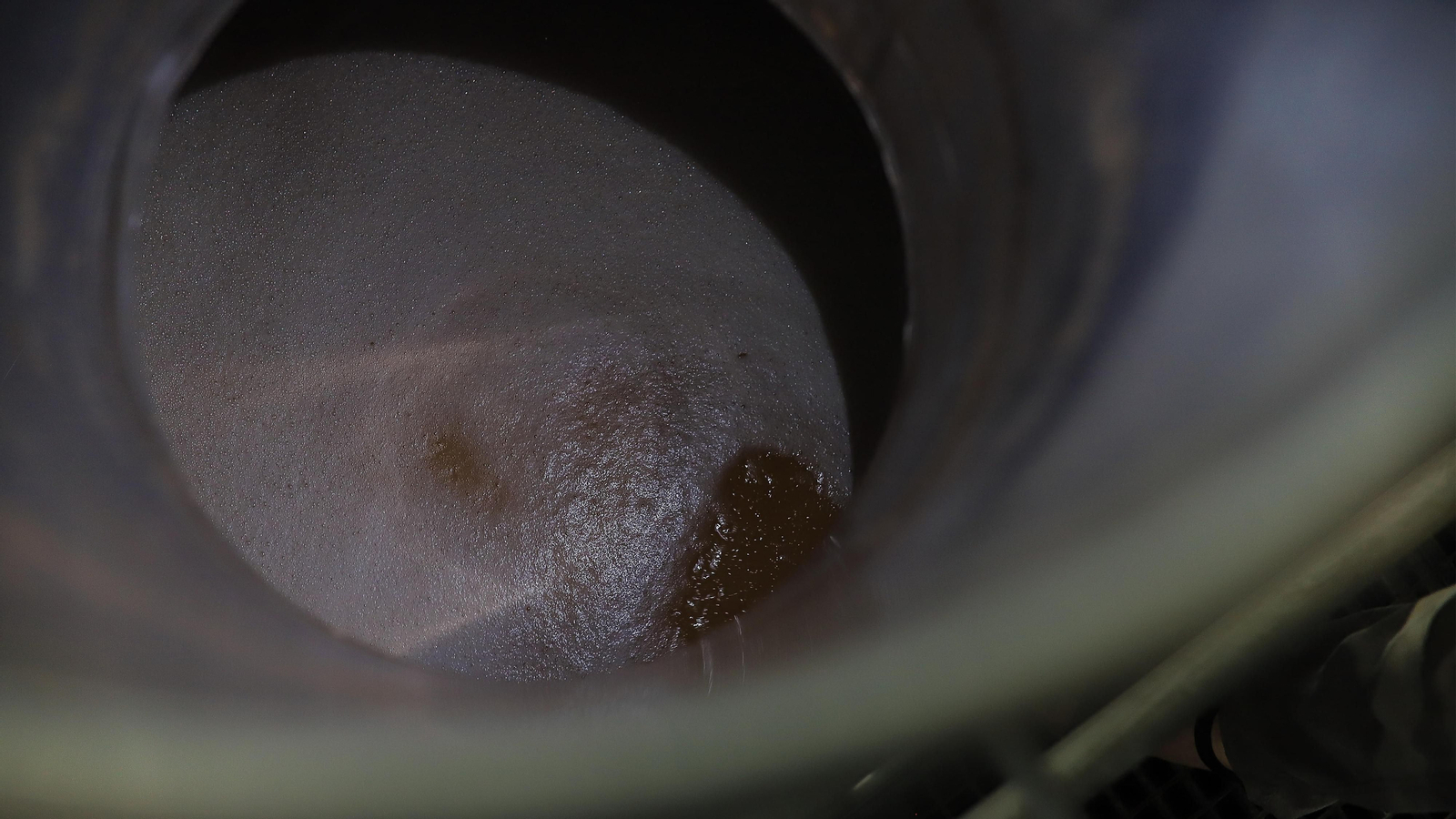 Imágenes de la vendimia de Bodega Estévez