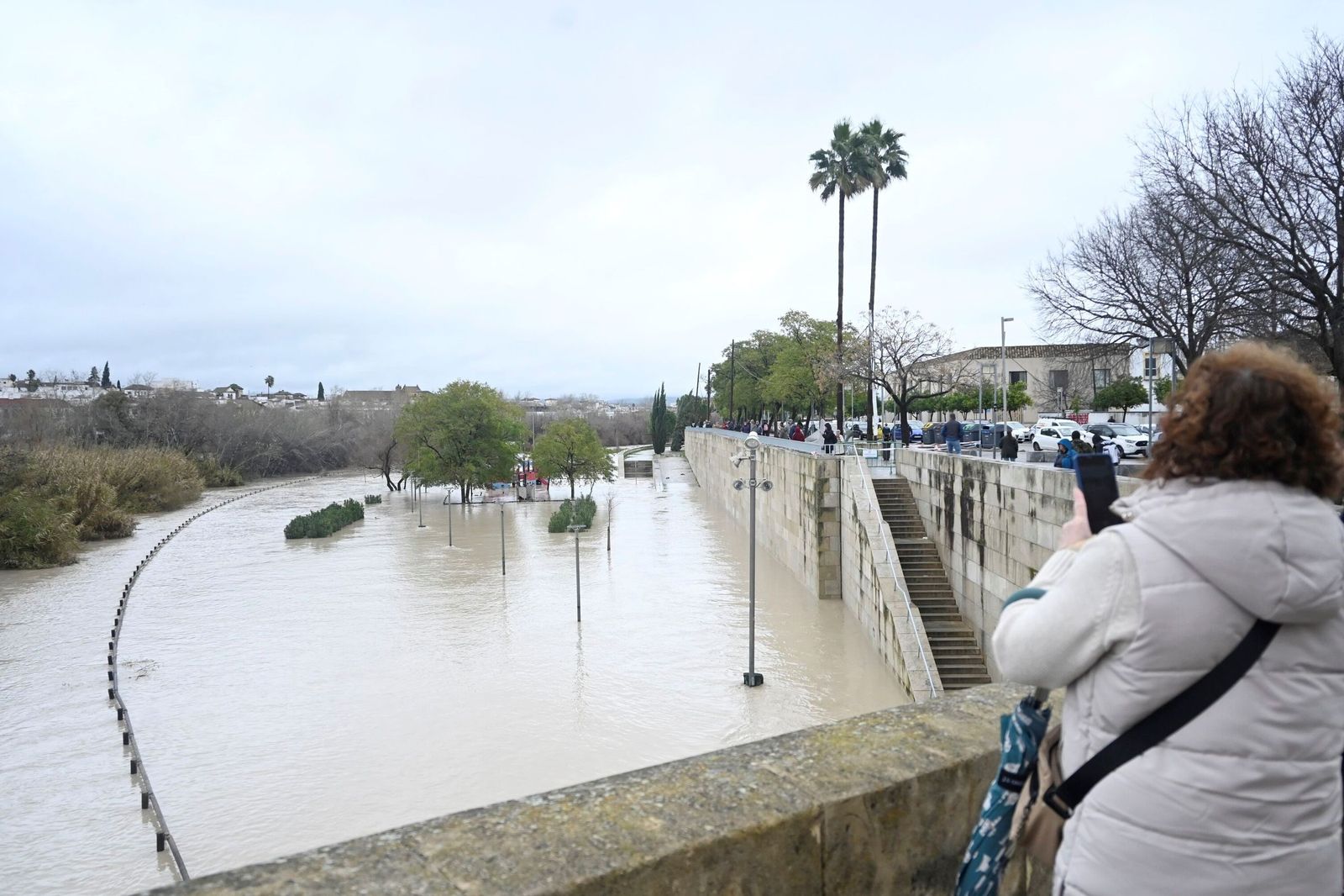 La impresionante crecida del río Guadalquivir: se acerca a los 6 metros a su paso por Córdoba