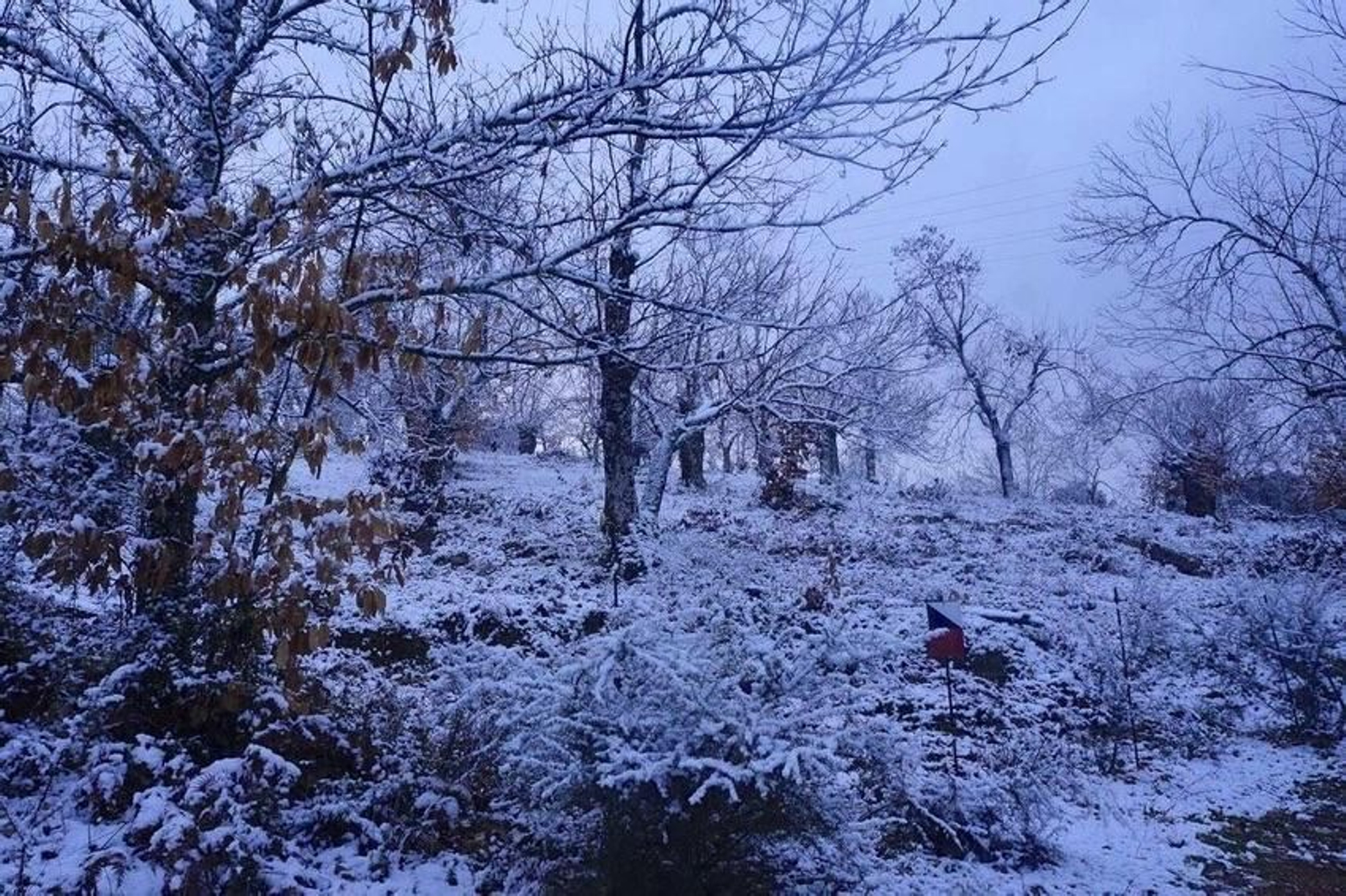 Así de nevada despertaba la Sierra de Aracena con el paso de la borrasca 'Filomena'