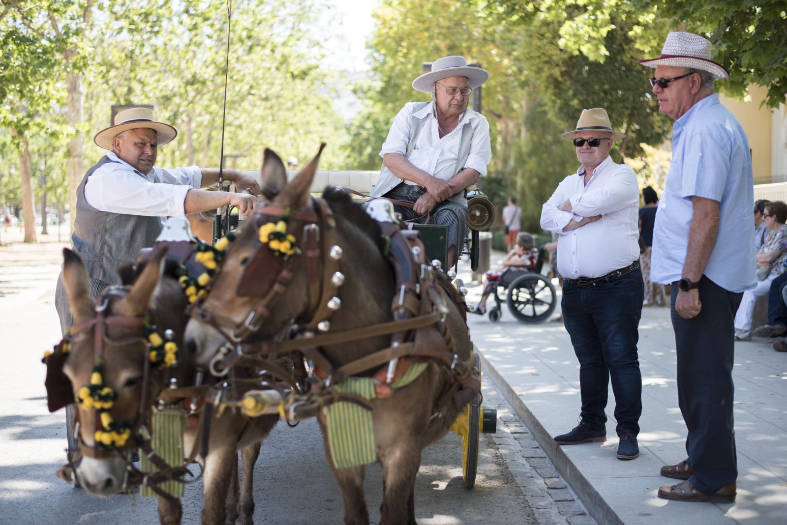 Concurso de enganches