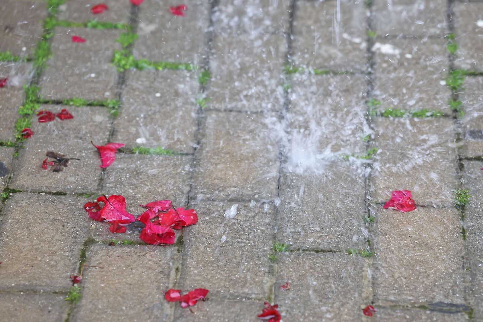 Las imágenes más destacadas del sábado 25 de enero en Huelva
