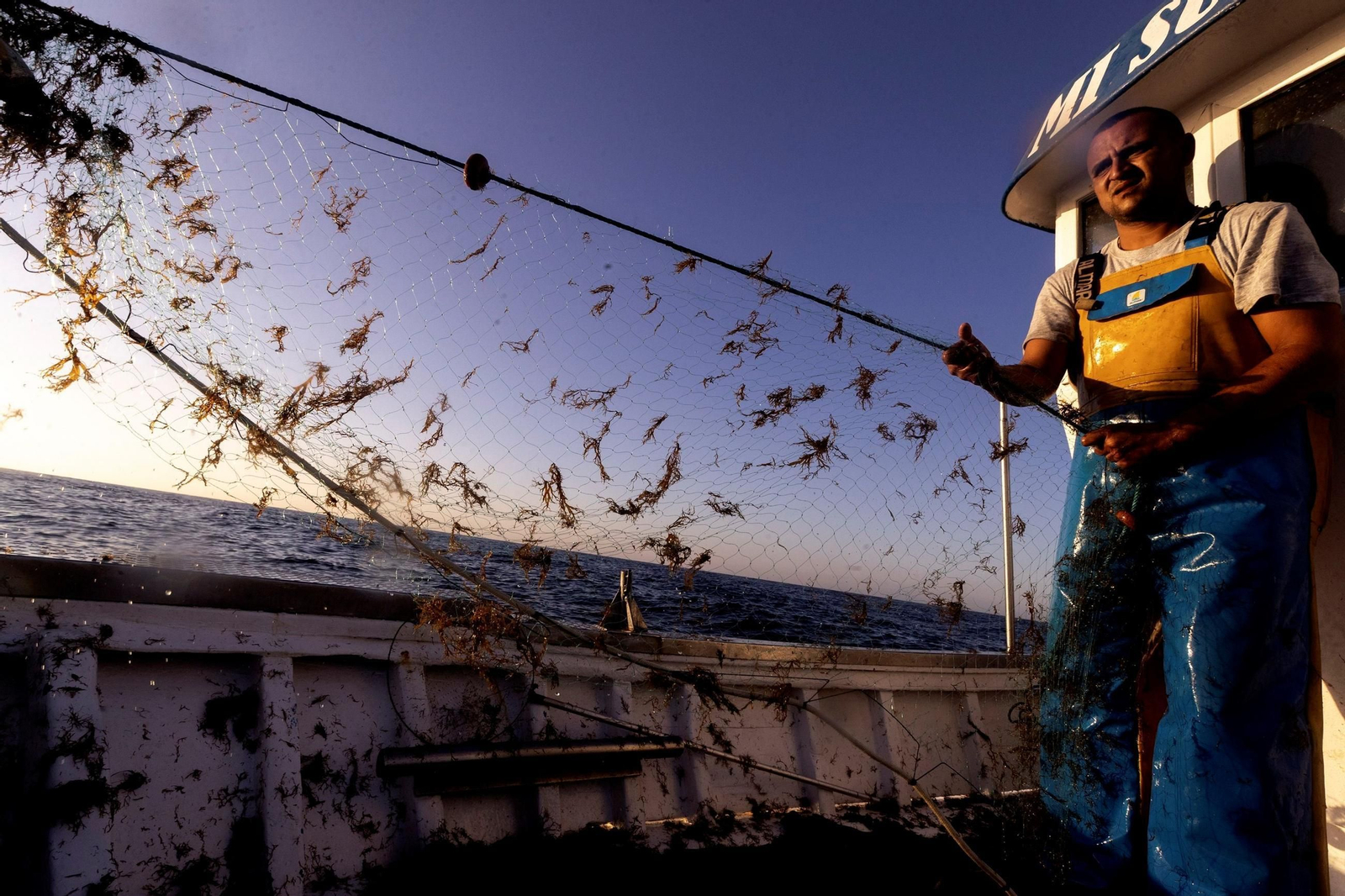 Un pescador saca una red llena de algas.