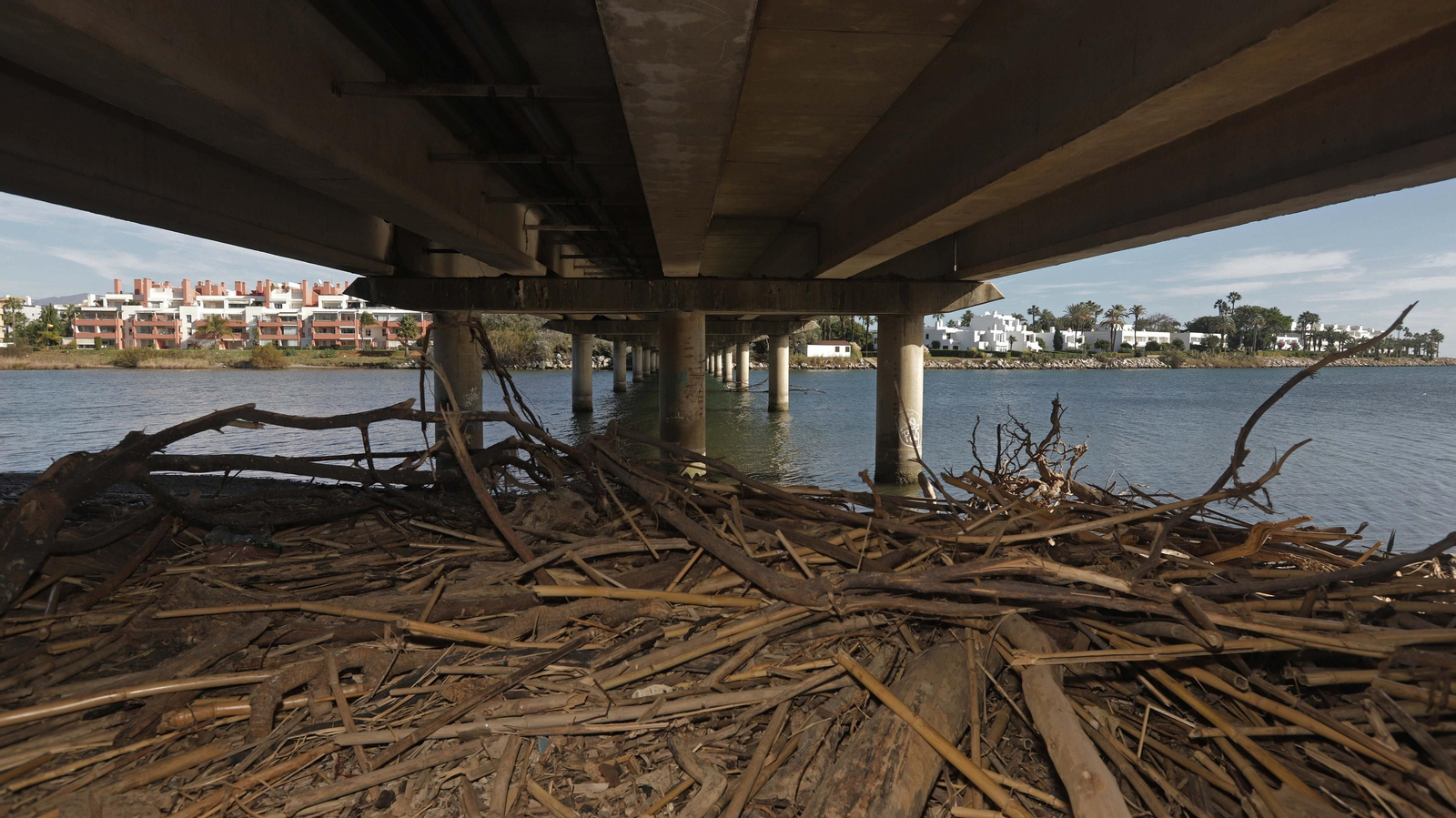 Fotos del estuario del río Guadiaro en San Roque