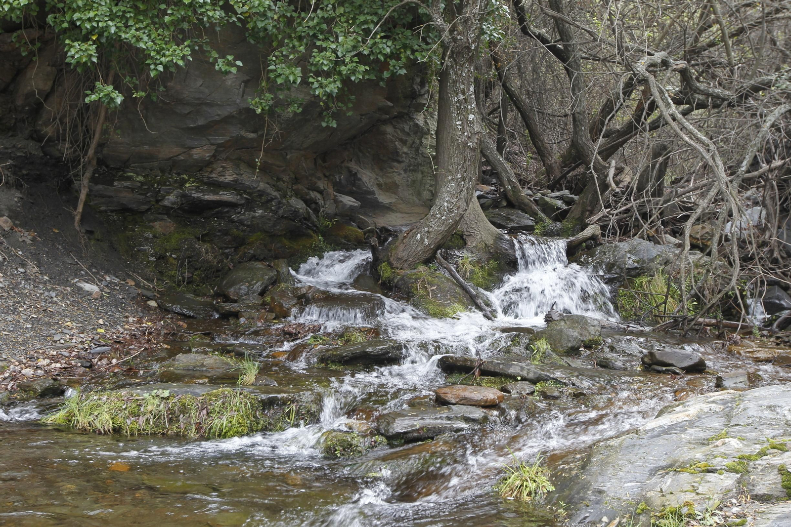 Naturaleza desconfinada. La Roza (Abrucena)