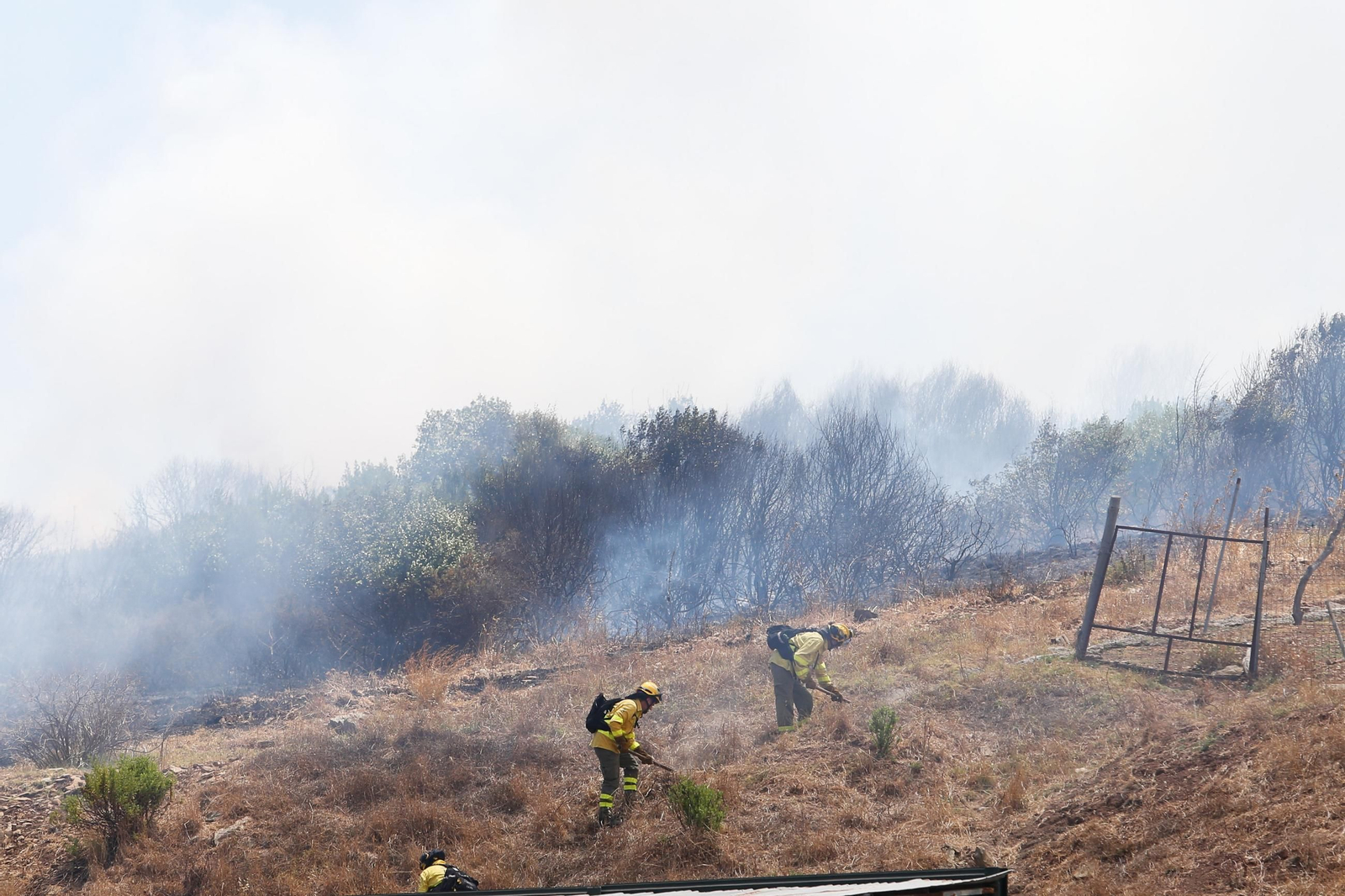 Las fotos del incendio entre Agua Marina y la Cañada de los Tomates en Algeciras