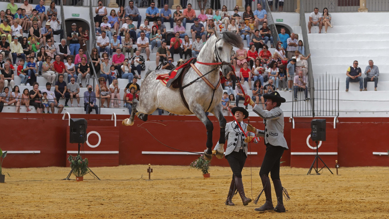 Fotos del espectáculo 'Cómo bailan los caballos andaluces' en San Roque