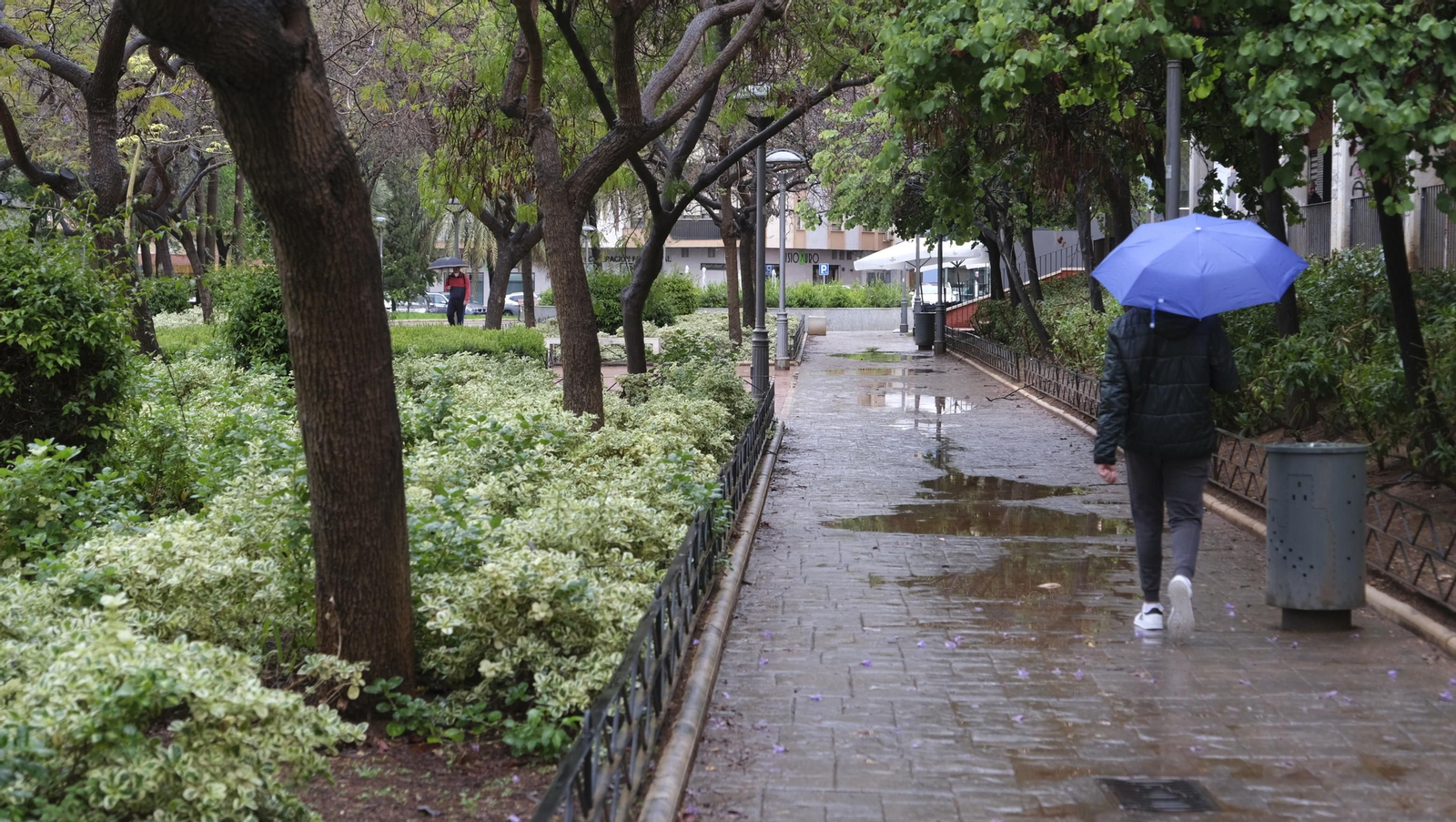 Imágenes de la lluvia en Almería.