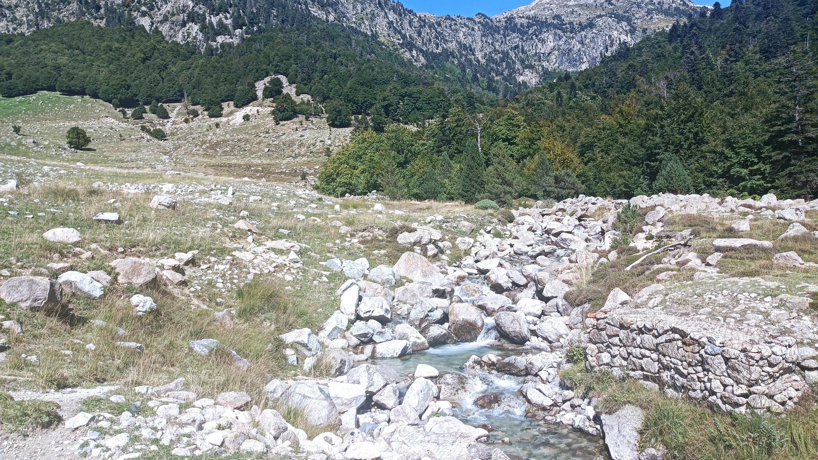 Cruzamos el arroyo por un puente y entramos en el Bosque de Conangles.