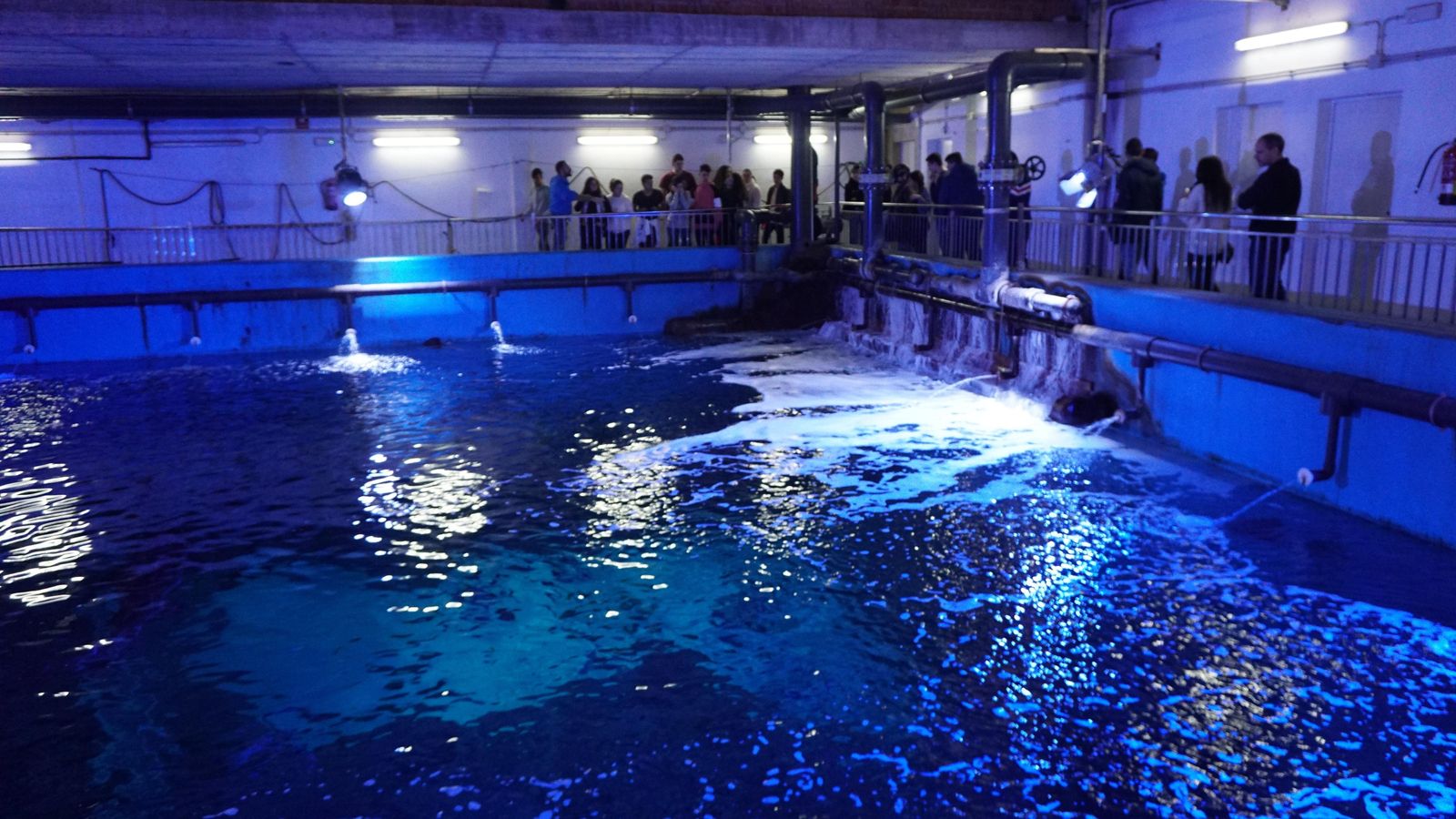 Visita 'El lado oculto del acuario'.