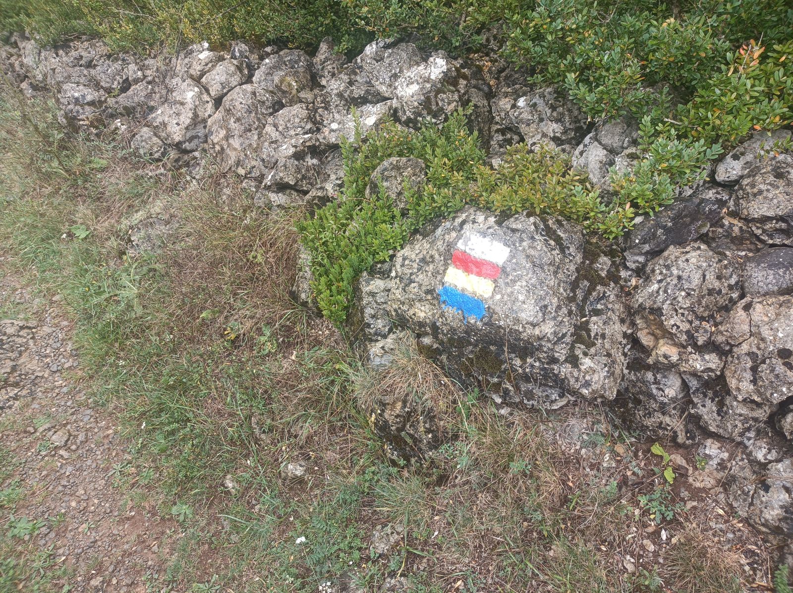 En estos parajes coinciden muchos senderos. Cada color señaliza uno.