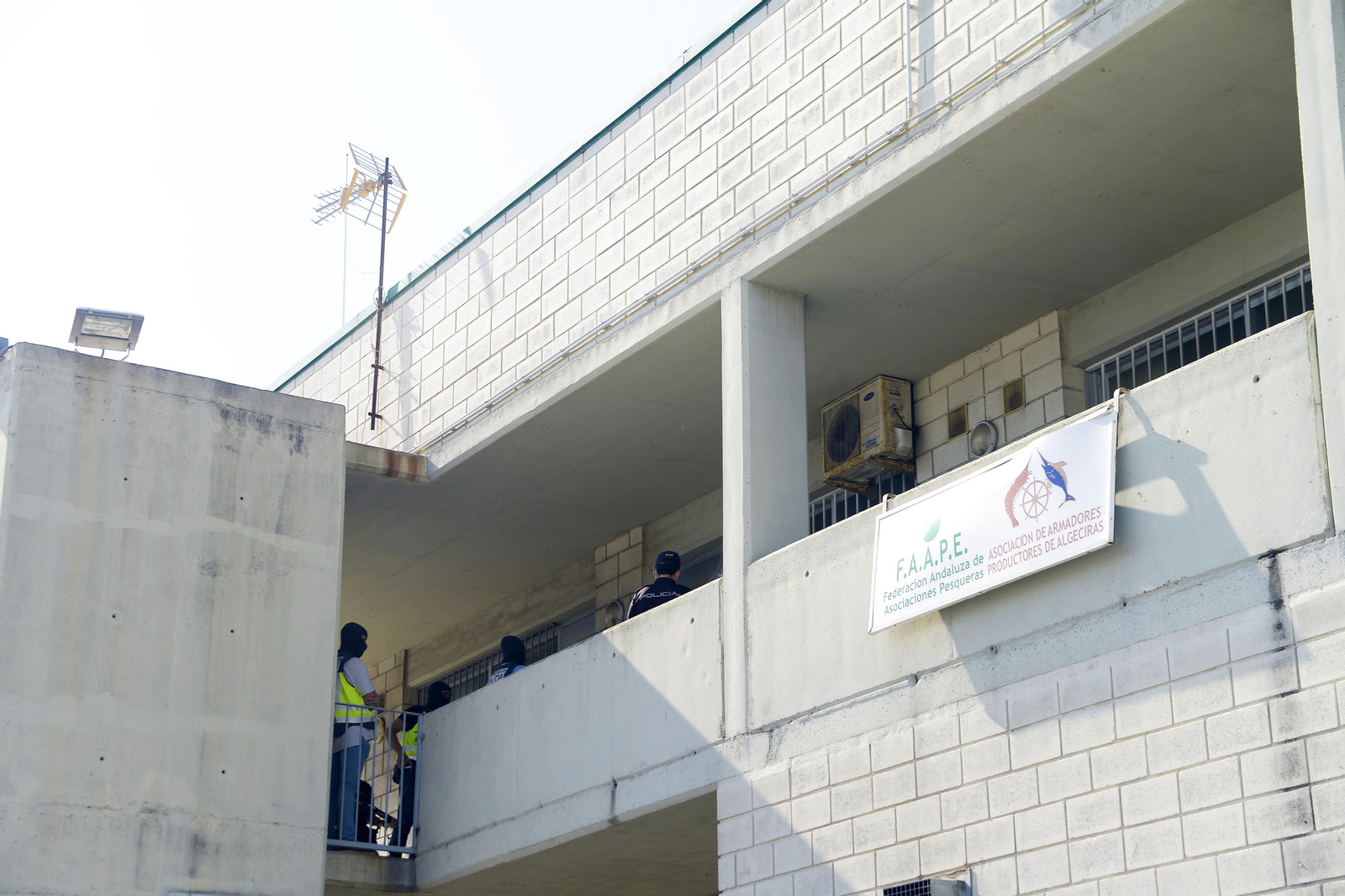 Fotos de la redada de la Policía Nacional en el puertode Algeciras