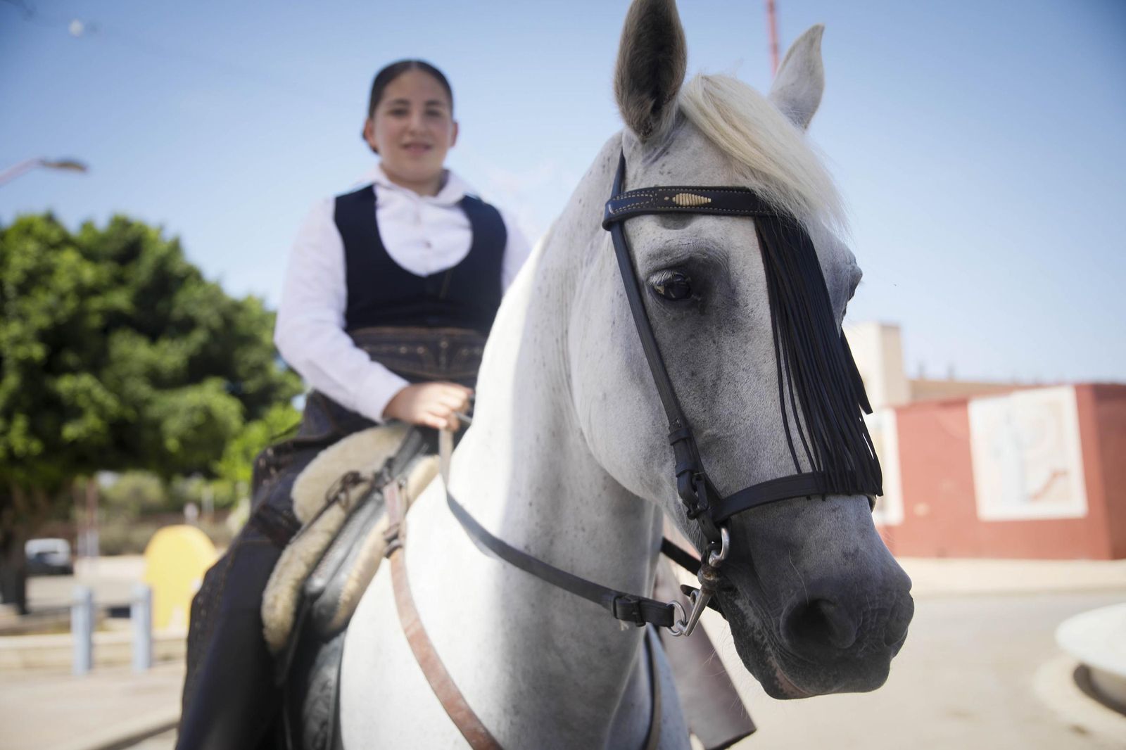 Las imágenes del paseo de Caballos y Carruajes, en el recinto ferial