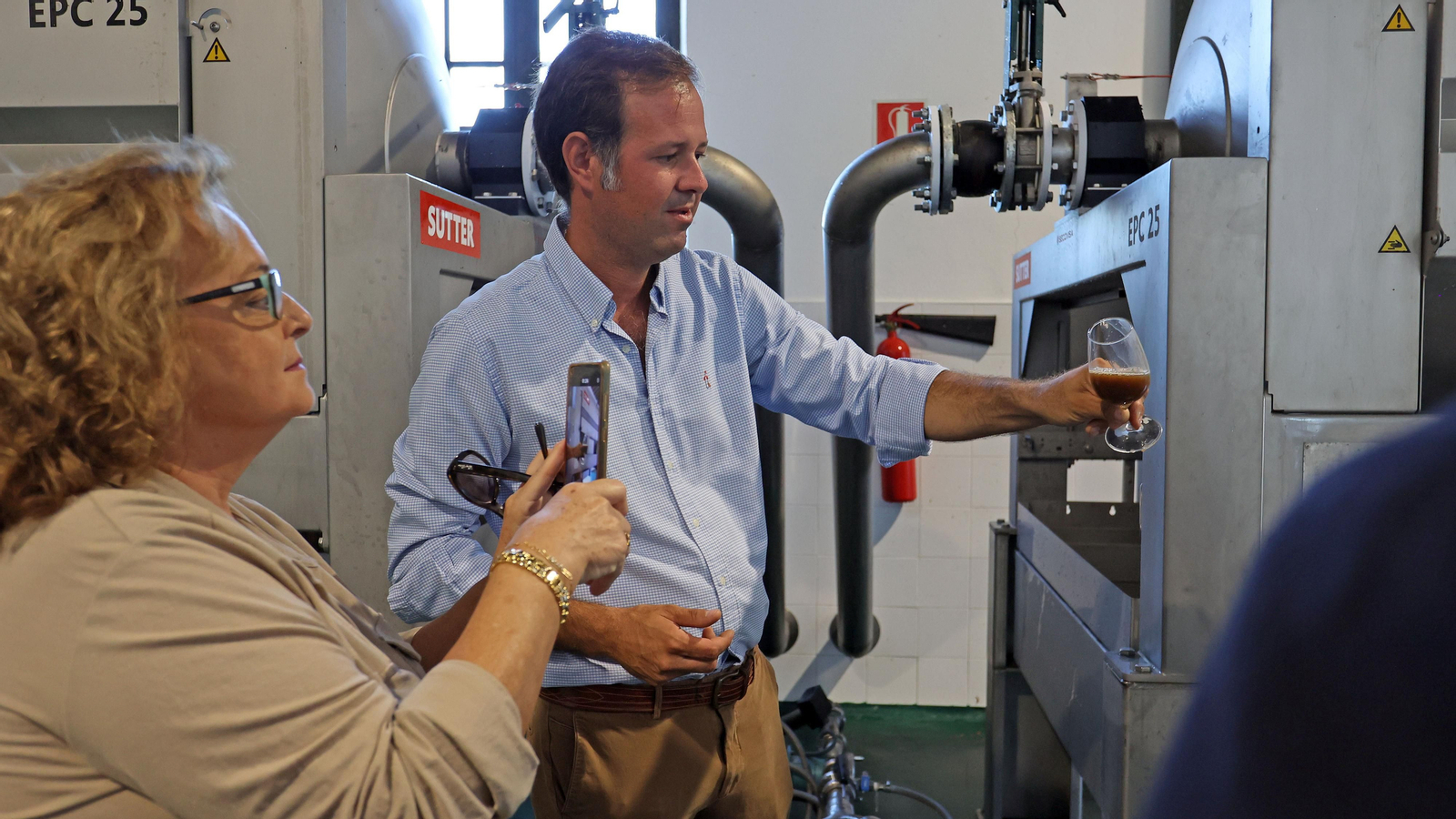 Asoleo de Pedro Ximénez en González Byass