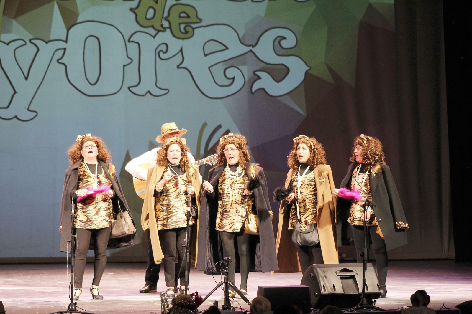 Las fotos del Carnaval de los Mayores de Córdoba