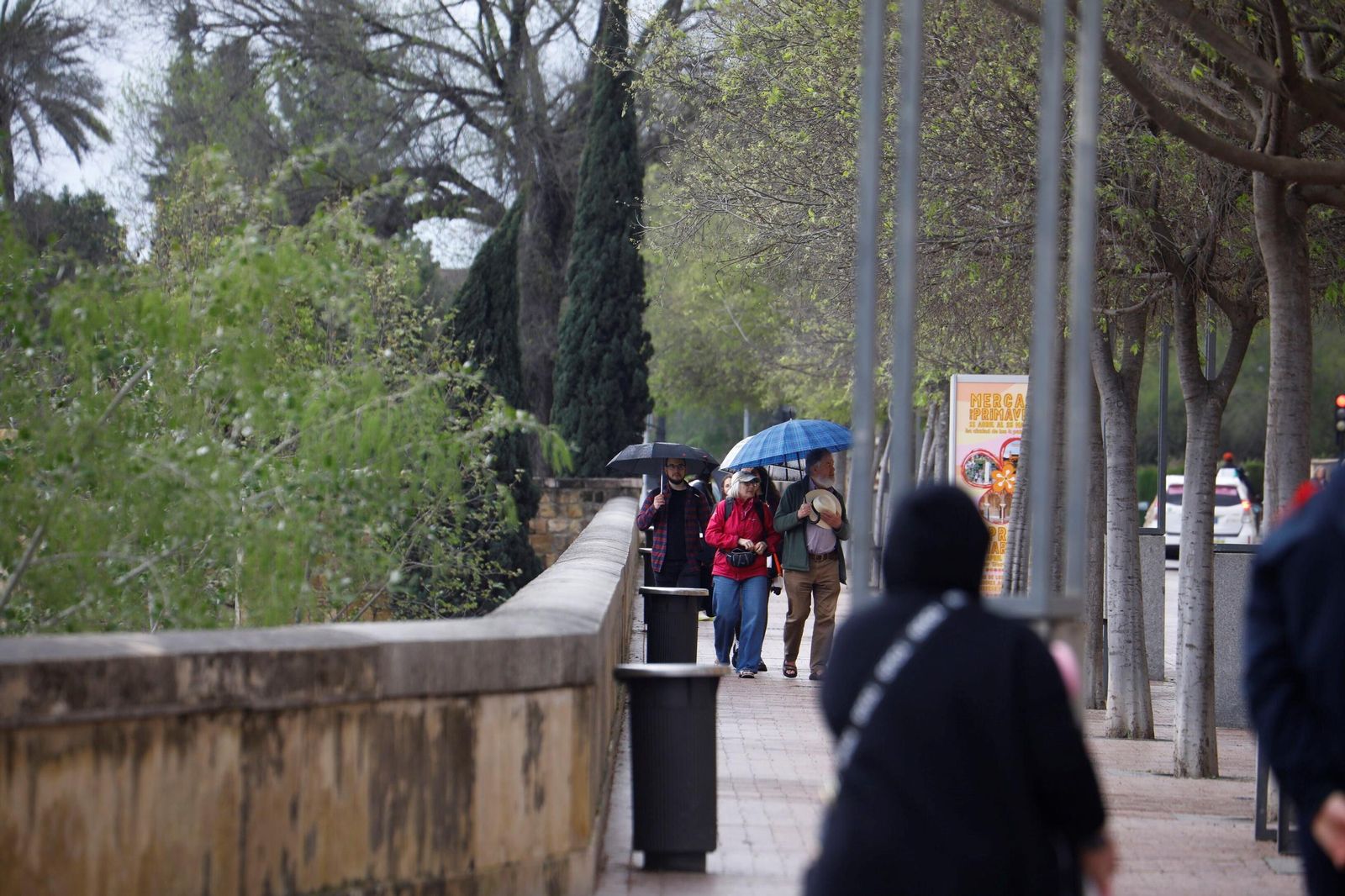 El paso de la borrasca Nuria por Córdoba, en imágenes
