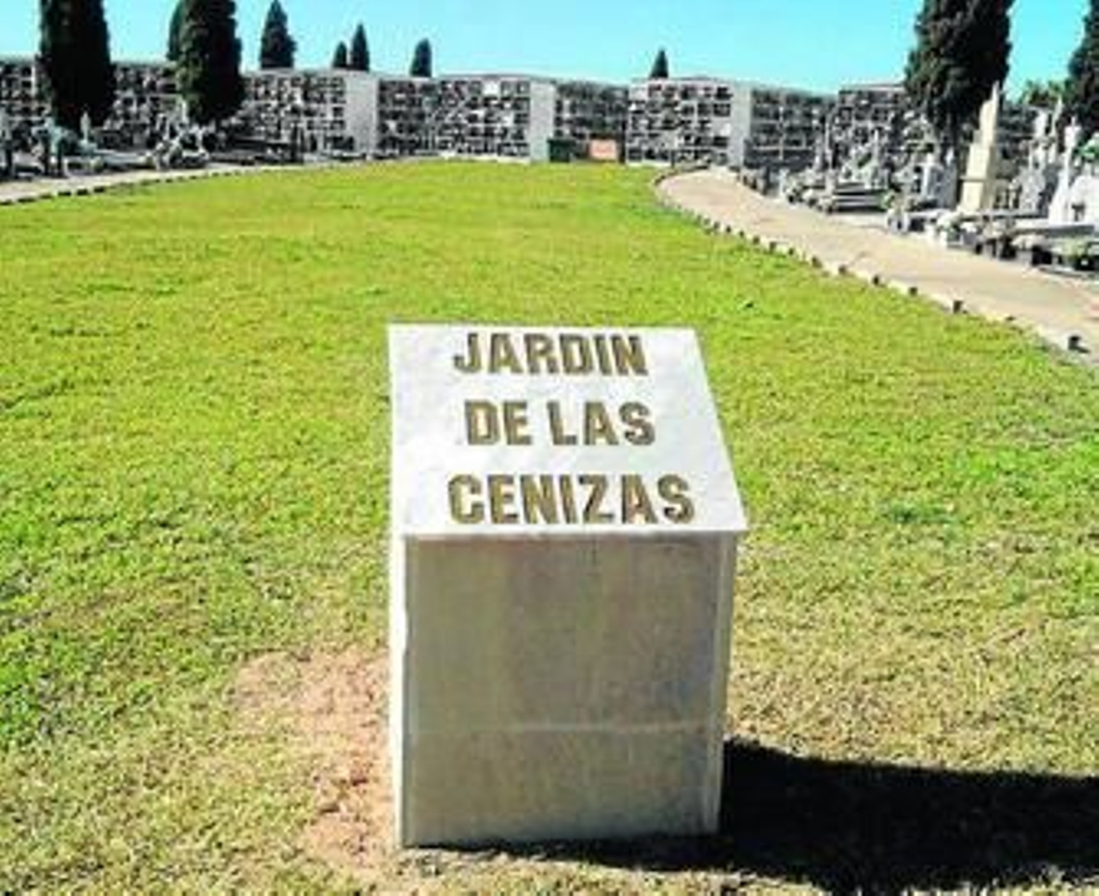 La superficie habilitada cuenta con 800 metros cuadrados.