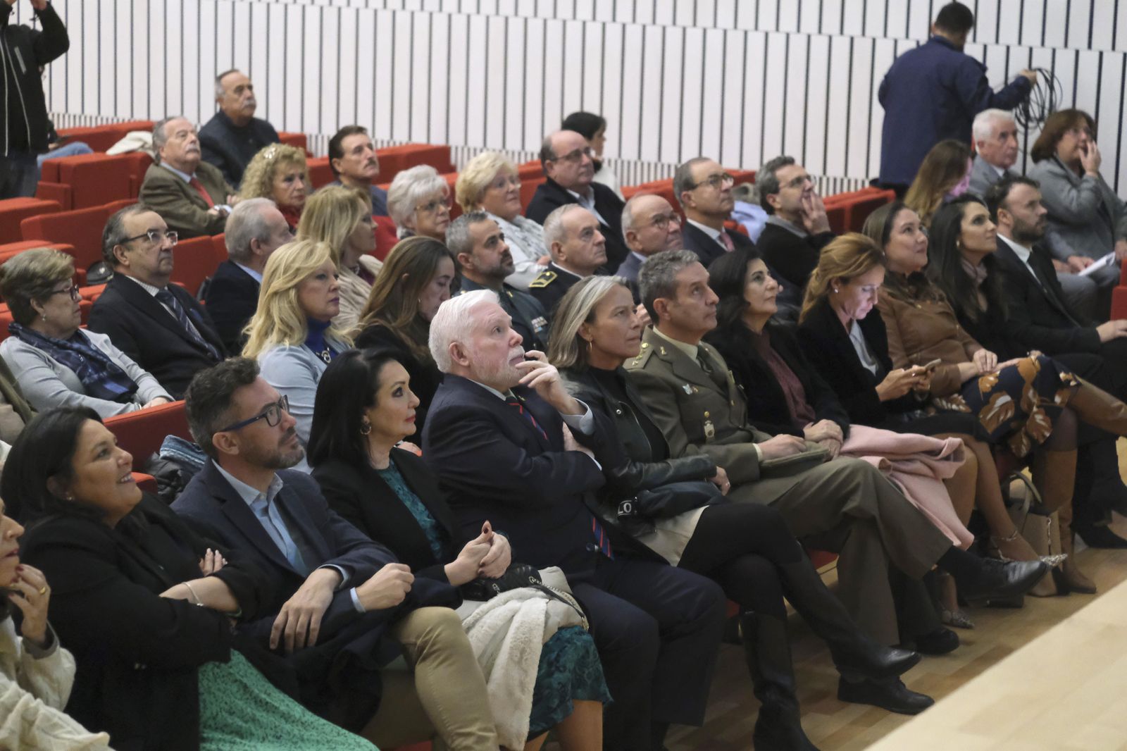 La entrega de medallas extraordinarias de las Peñas de Córdoba, en fotografías