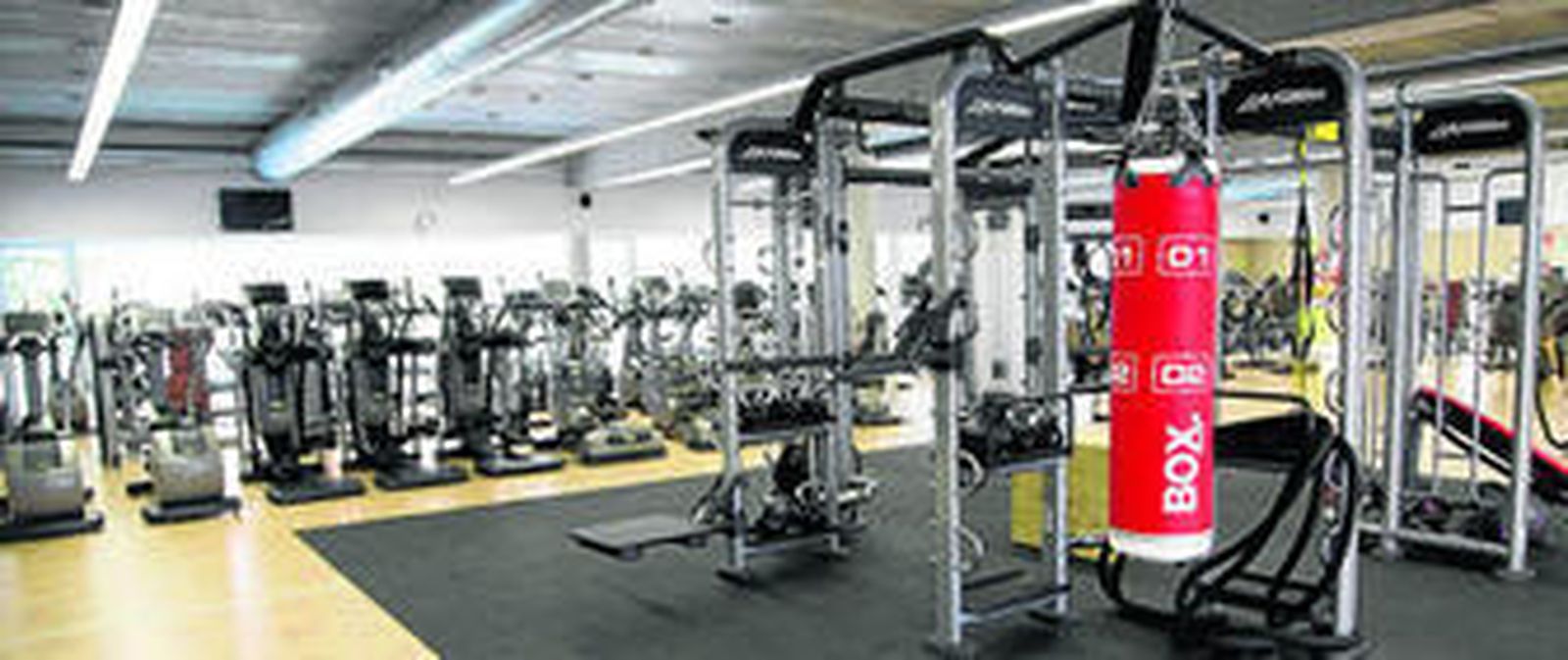 Un año quemando calorías