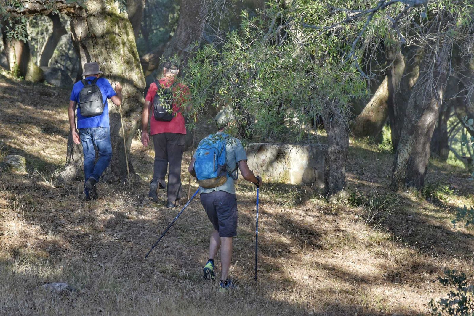 Fotos del dispositivo de búsqueda de Paco Cano, desaparecido en Los Barrios