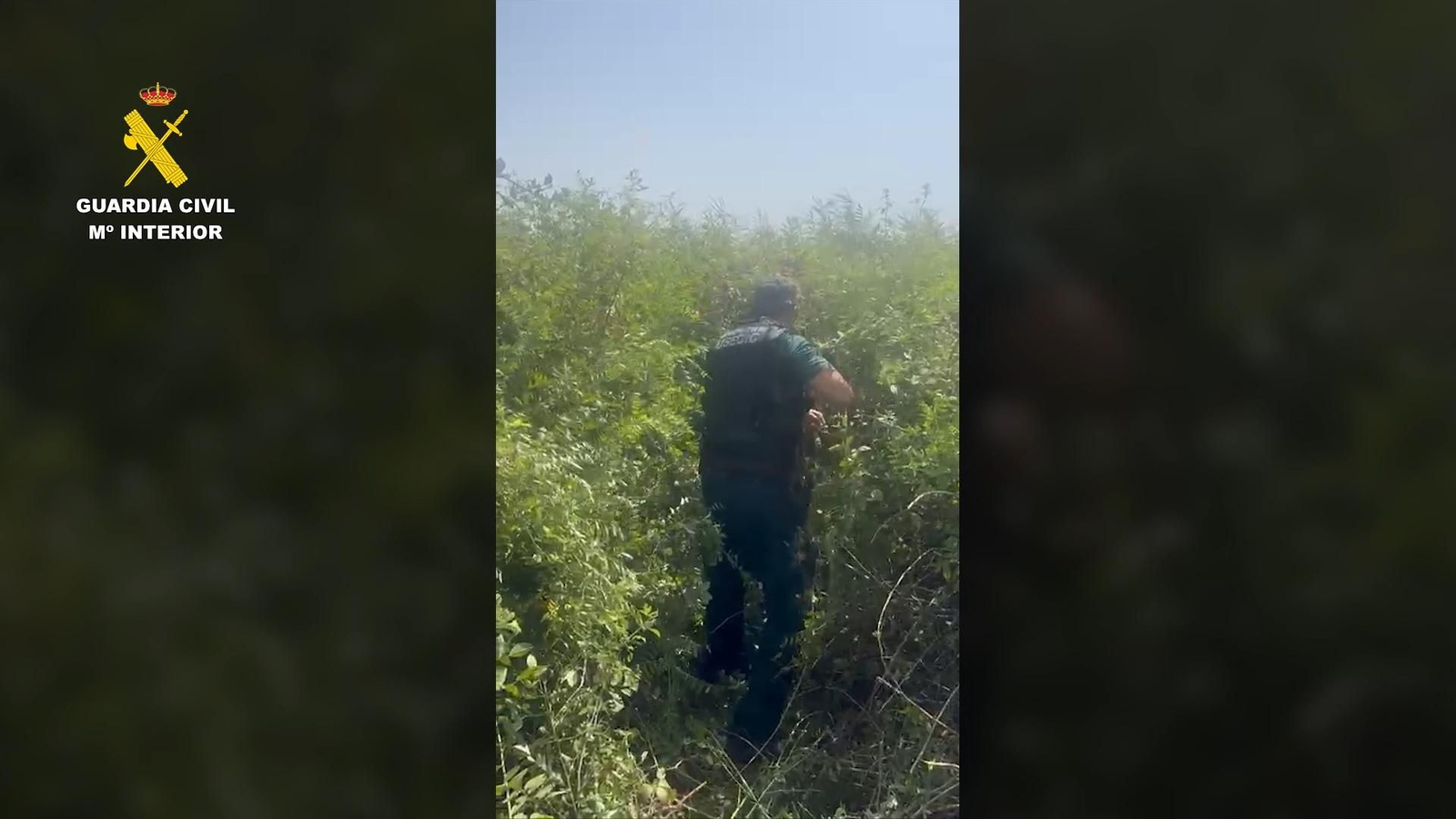 La Guardia Civil rescata a una persona atrapada durante más de dos horas en un zarzal en Puebla del Río bajo unas temperaturas extremas