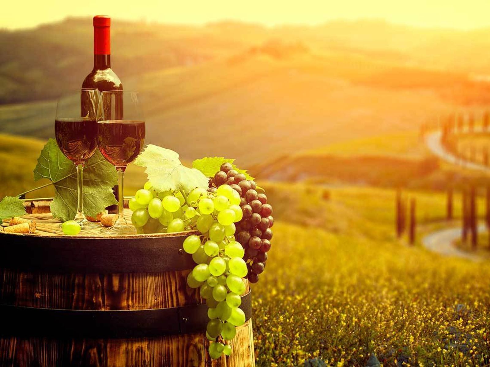 El vino es un paisaje embotellado.