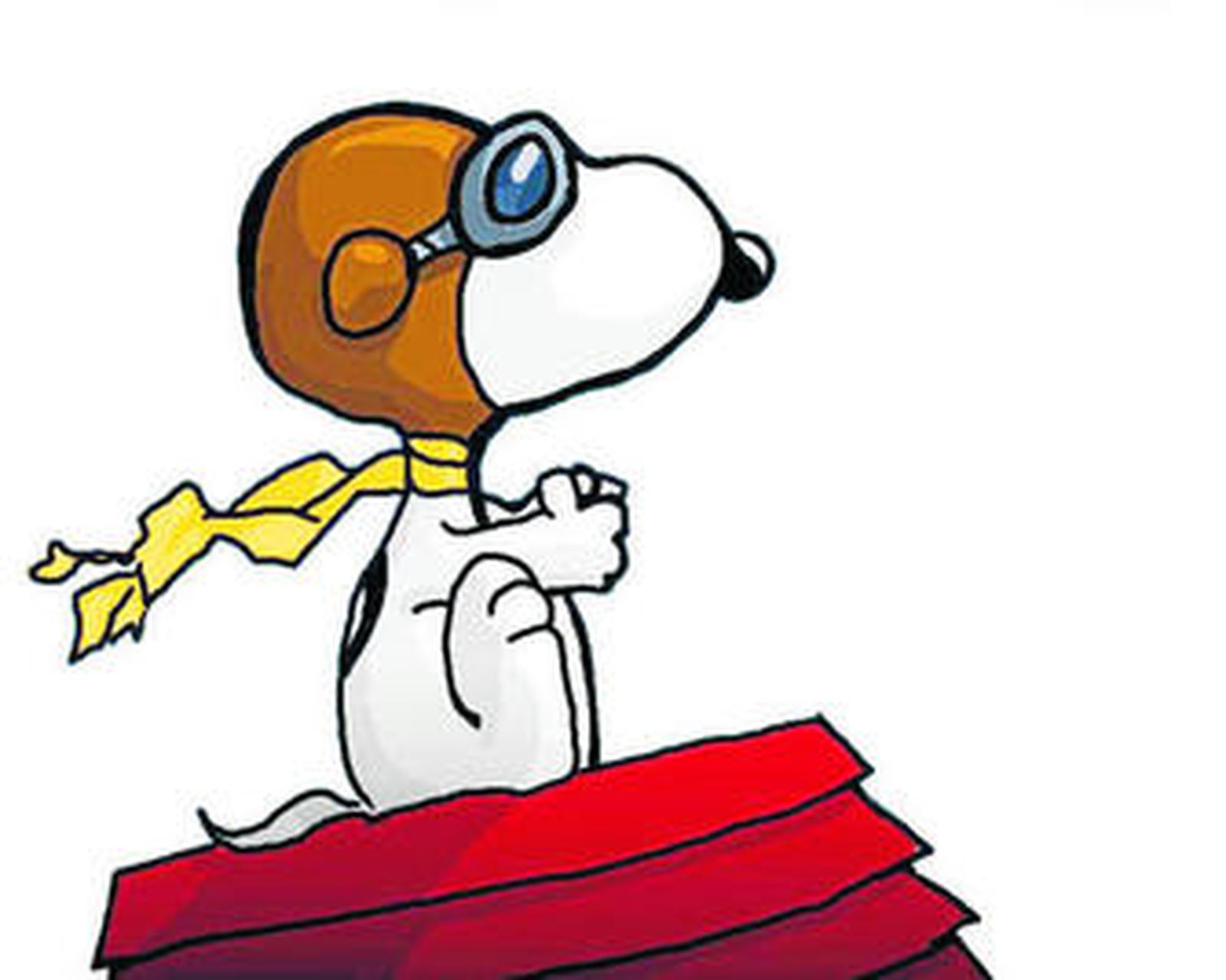 En busca del tiempo perdido