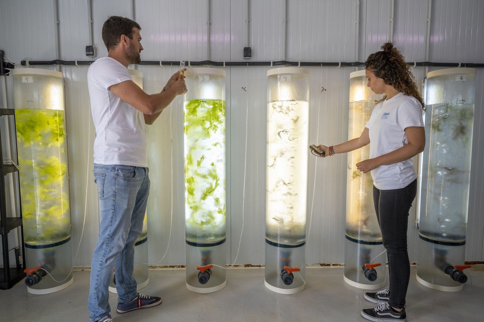 Cámaras de alga Ulva de CTAQUA.