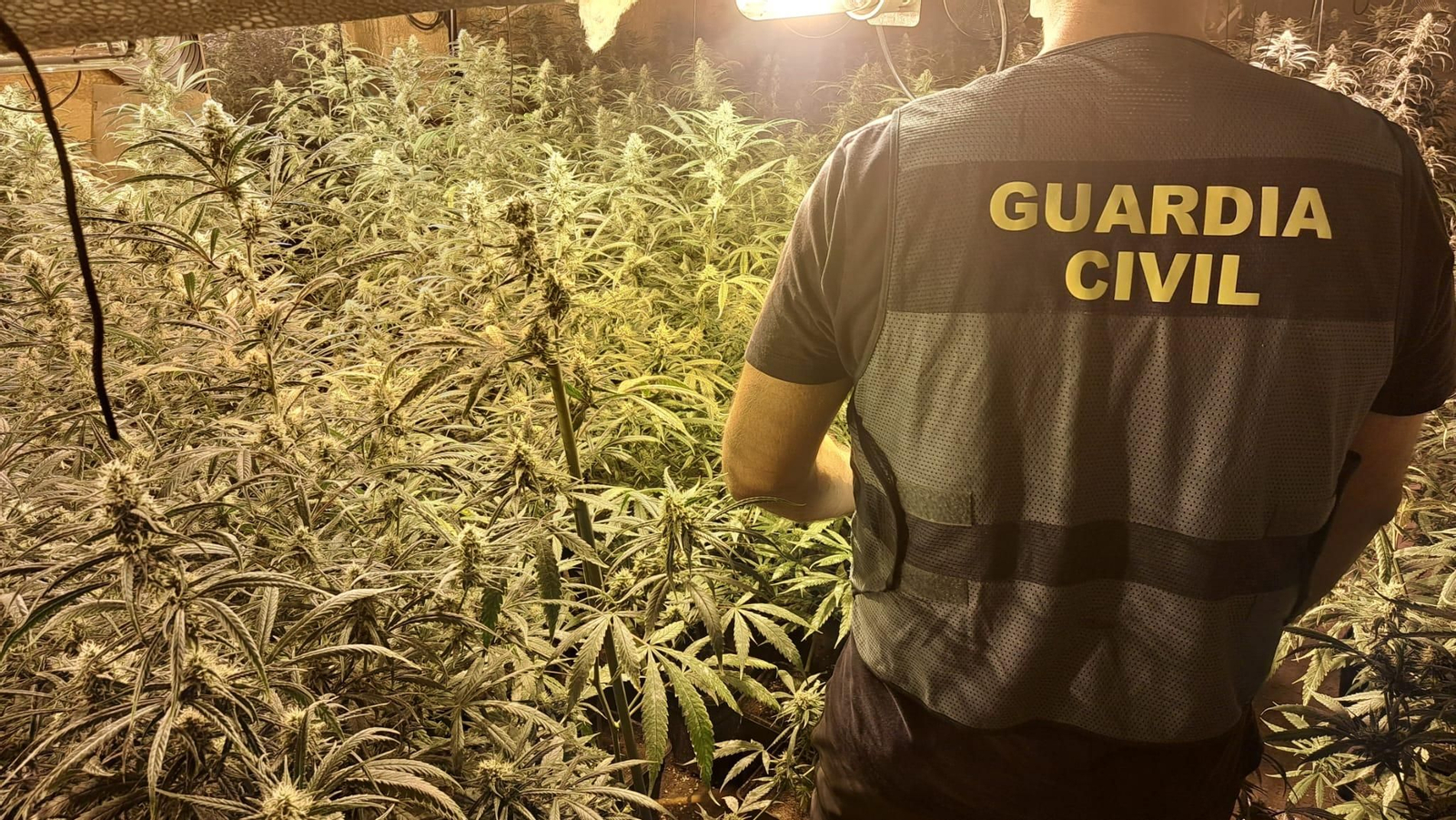 Plantación desmantelada en Pulianas
