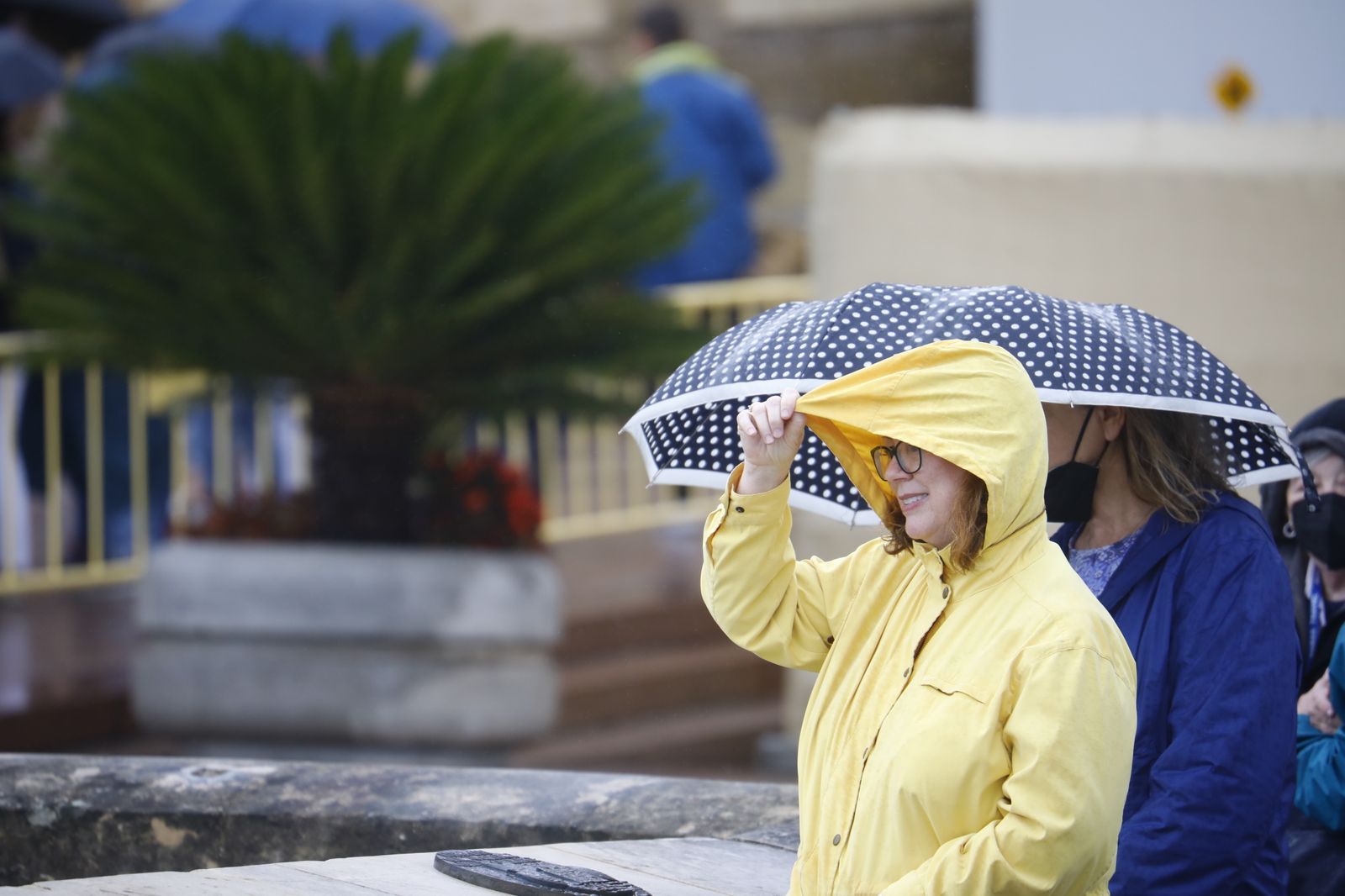 Las fotografías del regreso de la lluvia a Córdoba en pleno puente de Todos los Santos
