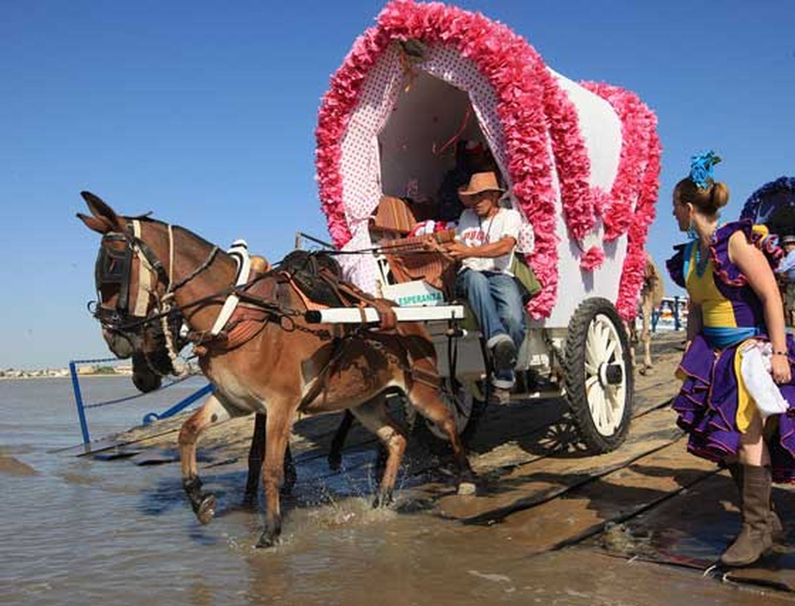 A las nueve menos tres minutos de la mañana se lanzó el primer viva a la Virgen del Rocío

Foto: Juan Carlos Toro