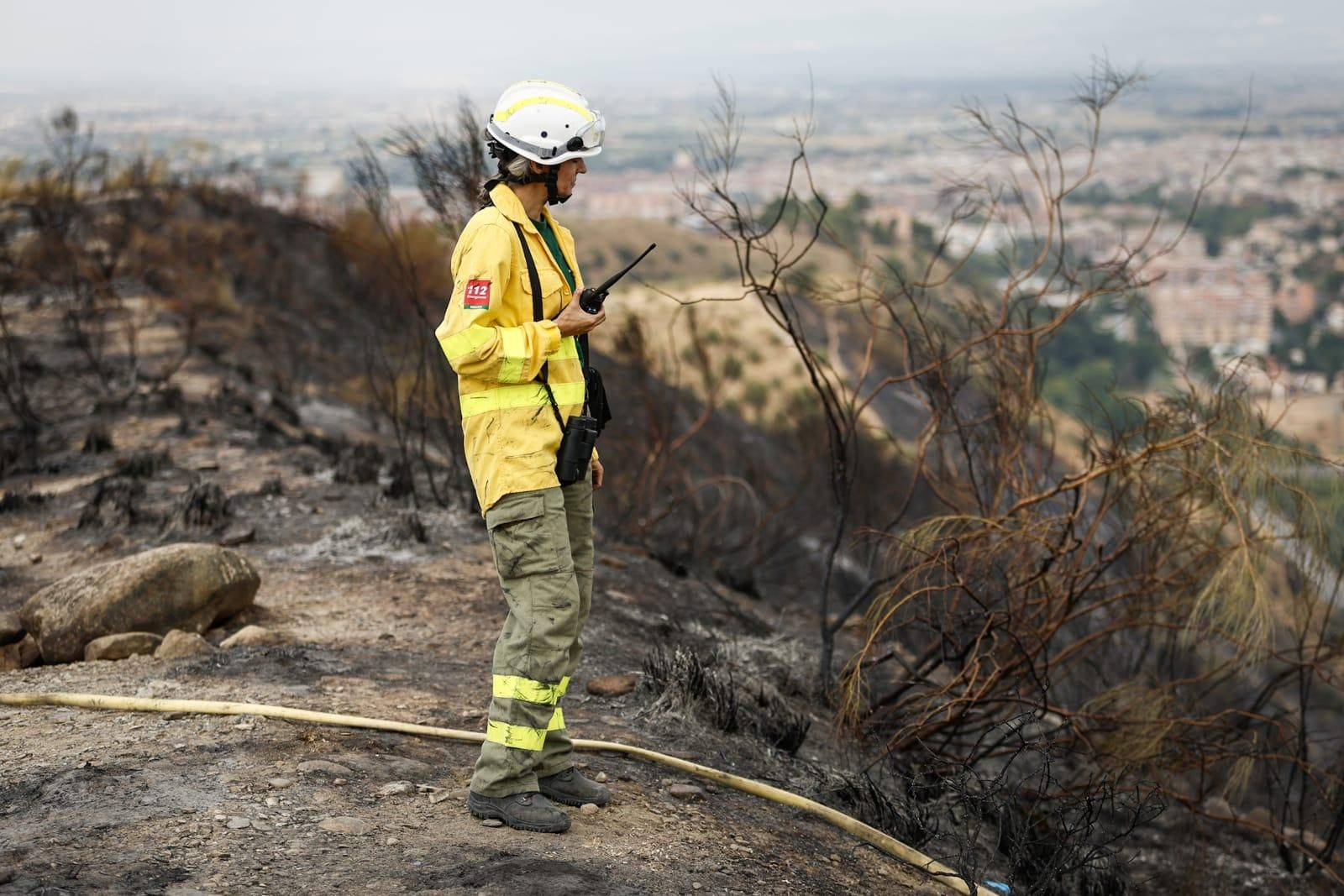 Las imágenes de la Fuente de la Bicha de Granada tras las llamas