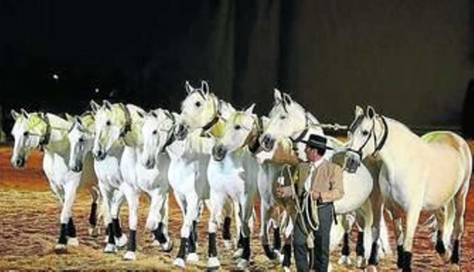 Gauchos al paso del jinete andaluz