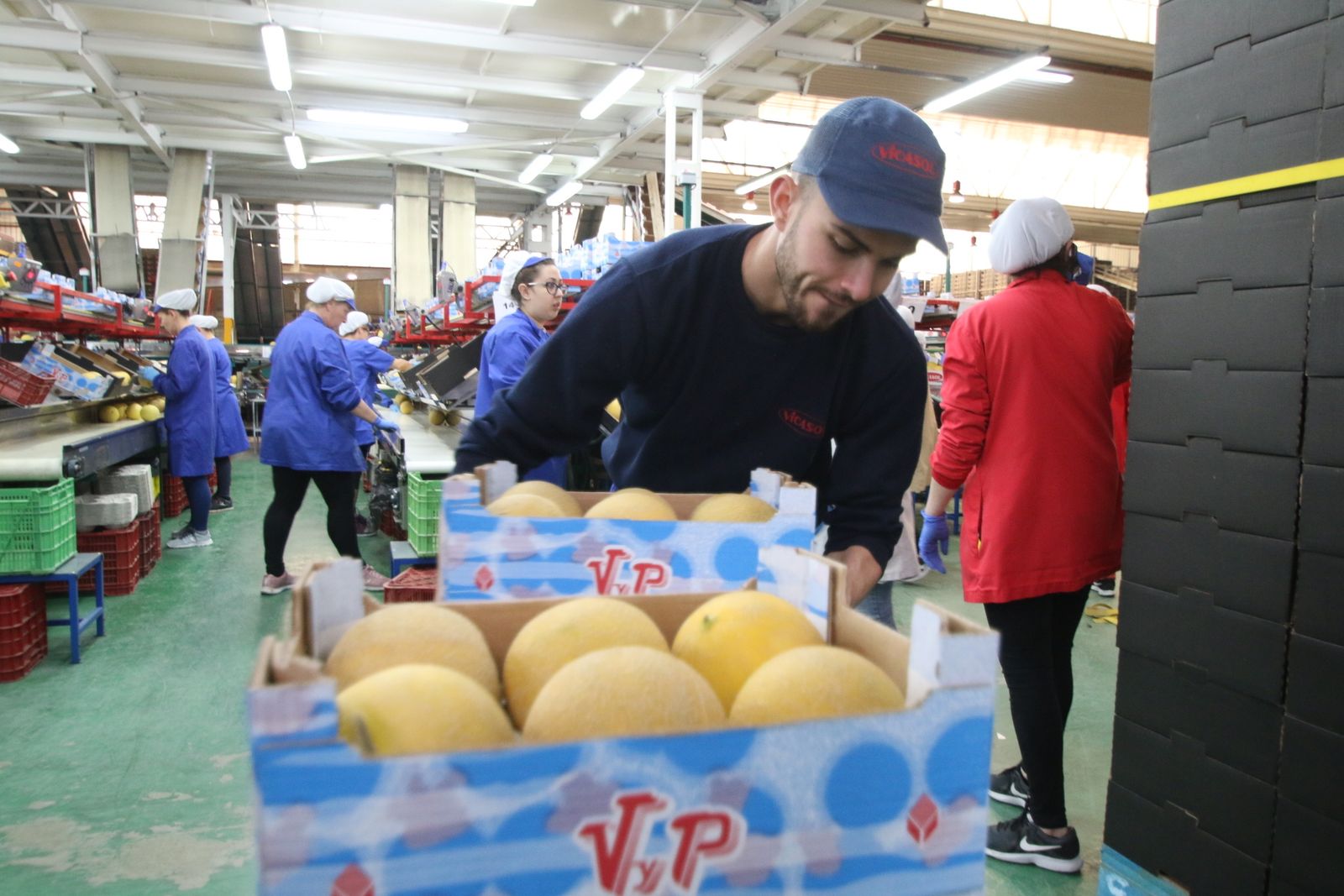 Las imágenes de la visita de Susana Díaz a Almería