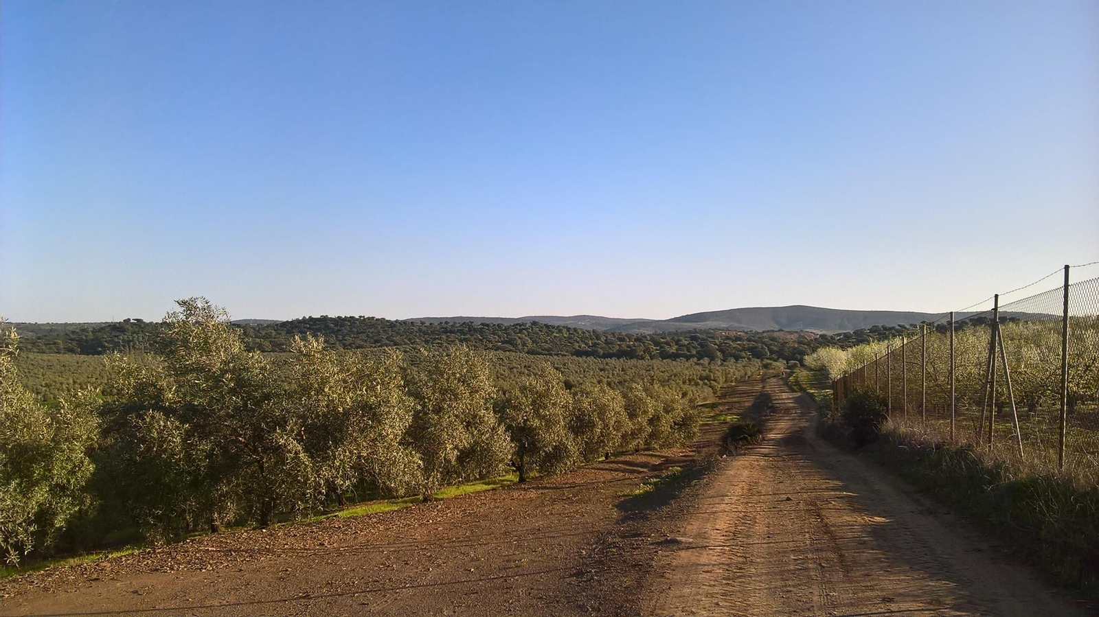 Fotos de la Vía de la Plata a su paso por Sevilla