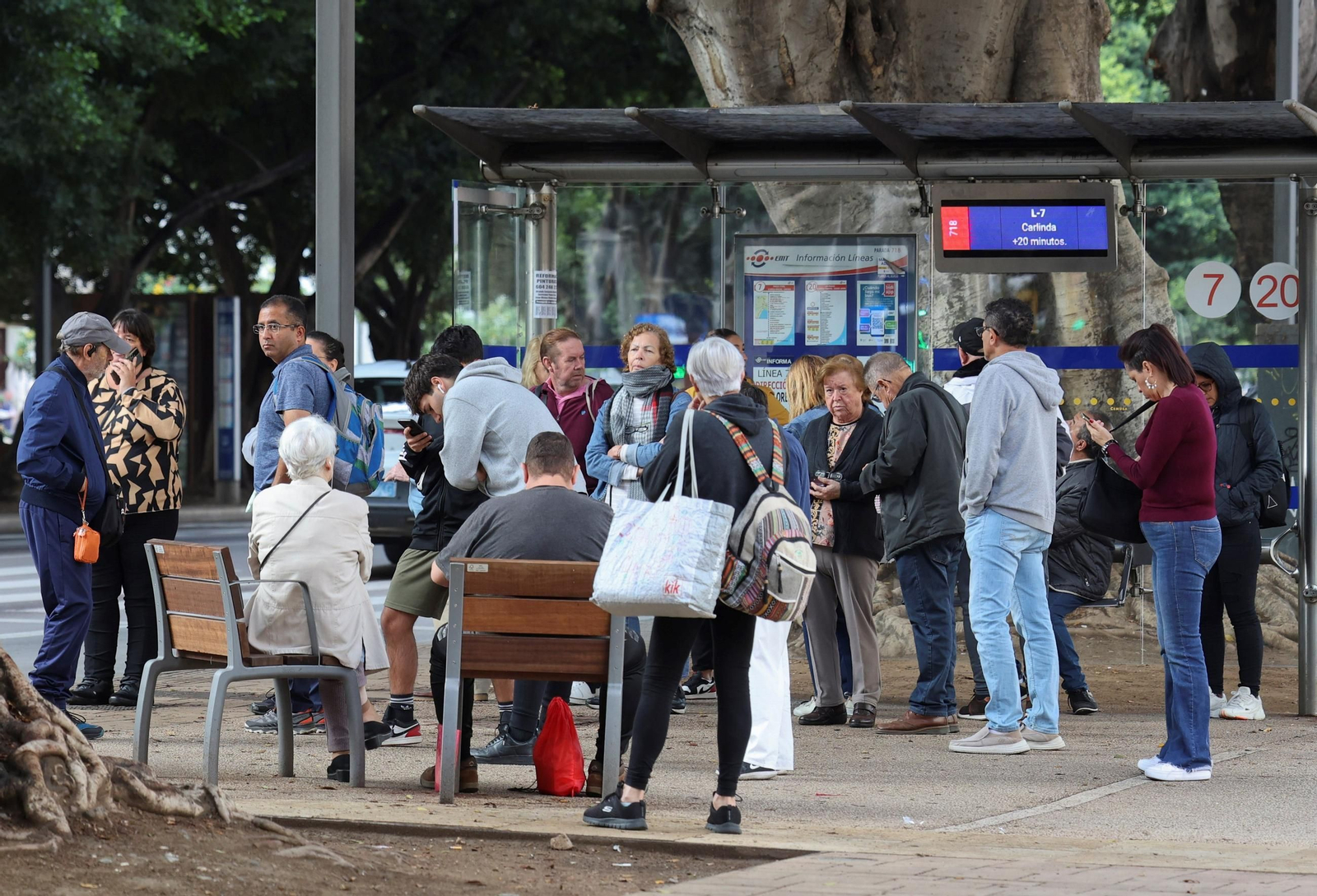Personas esperando el autobús en el centro de Málaga.