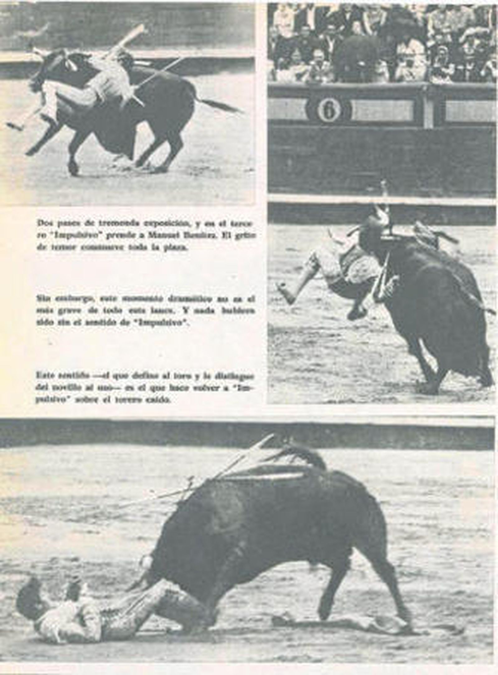 Profusa información gráfica dedicó el semanario taurino 'El Ruedo' al grave percance de Manuel Benítez 'El Cordobés' en el toro de su confirmación.