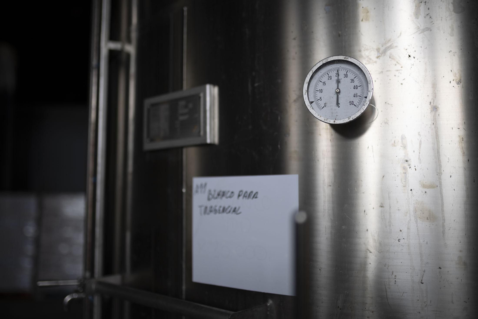 Imágenes de la vendimia en el Condado de Huelva