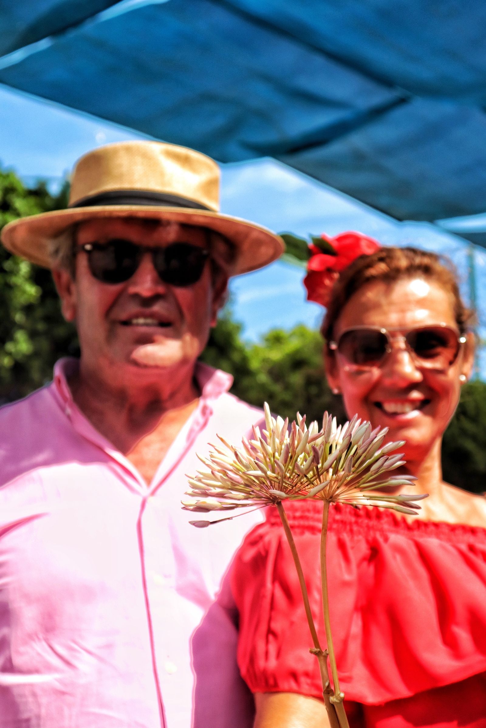 Feria de Málaga: las mejores imágenes de la fiesta en el Real este jueves