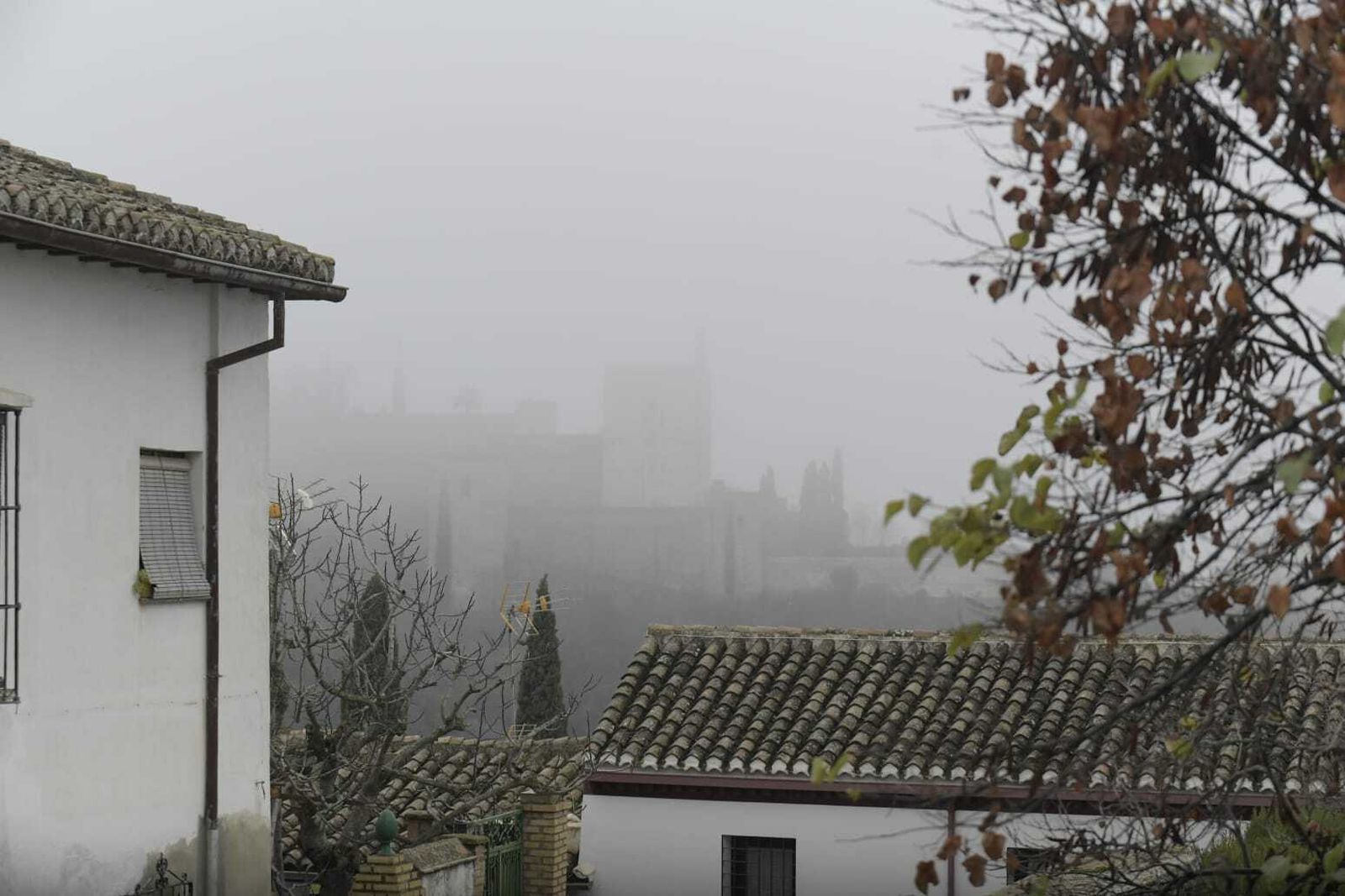 La niebla que ha cubierto Granada este miércoles, en imágenes