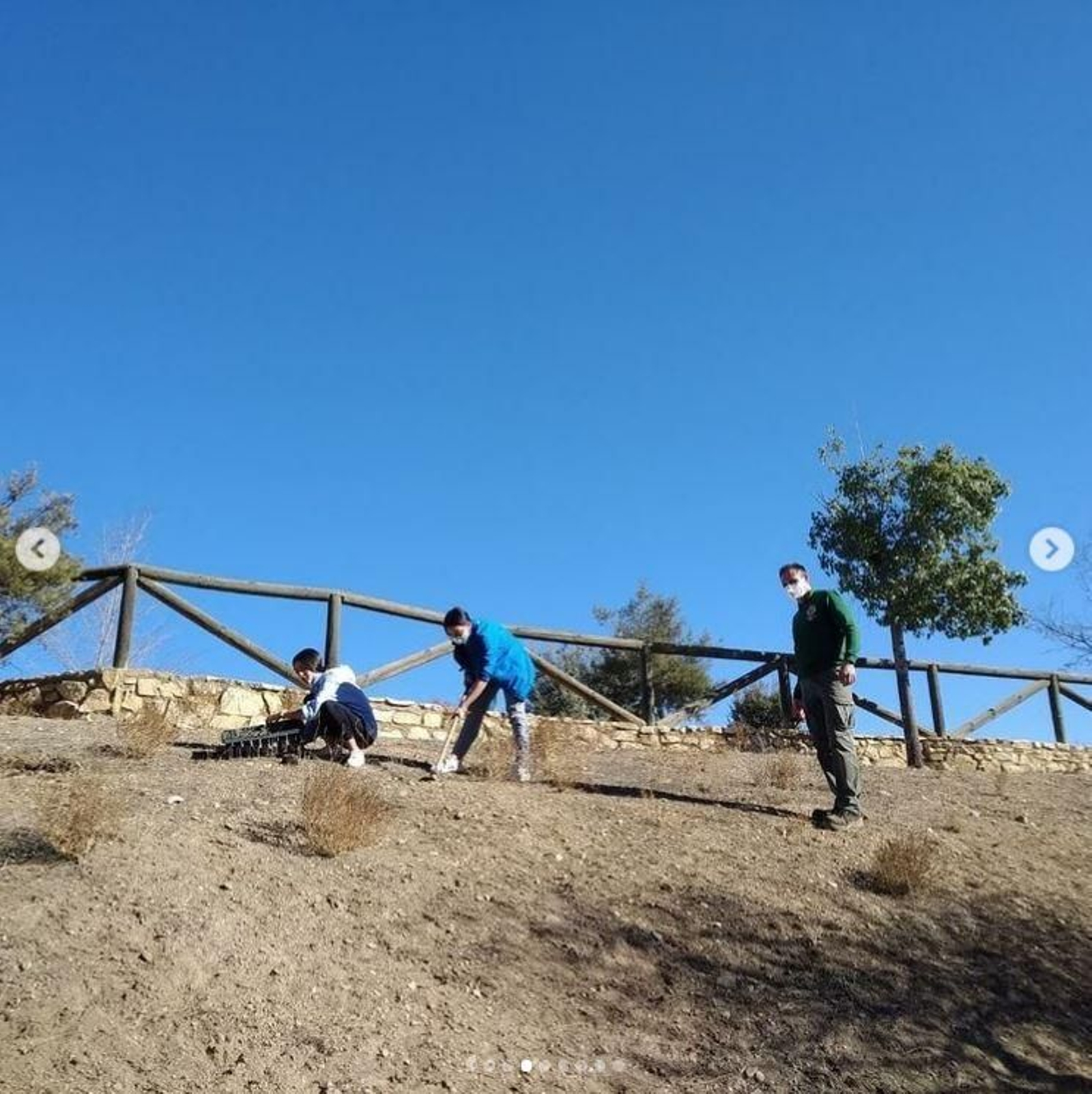 La 'escoescuela' recoge sus frutos en el Parque del Vivero de Guadix.
