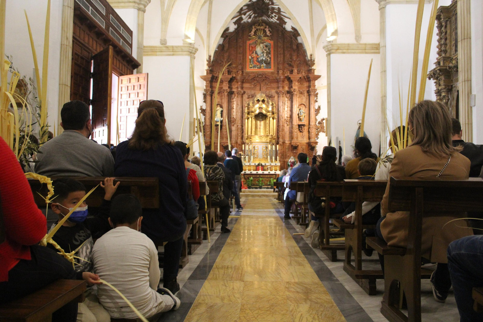 Las imágenes de la procesión de La Borriquita en Vera