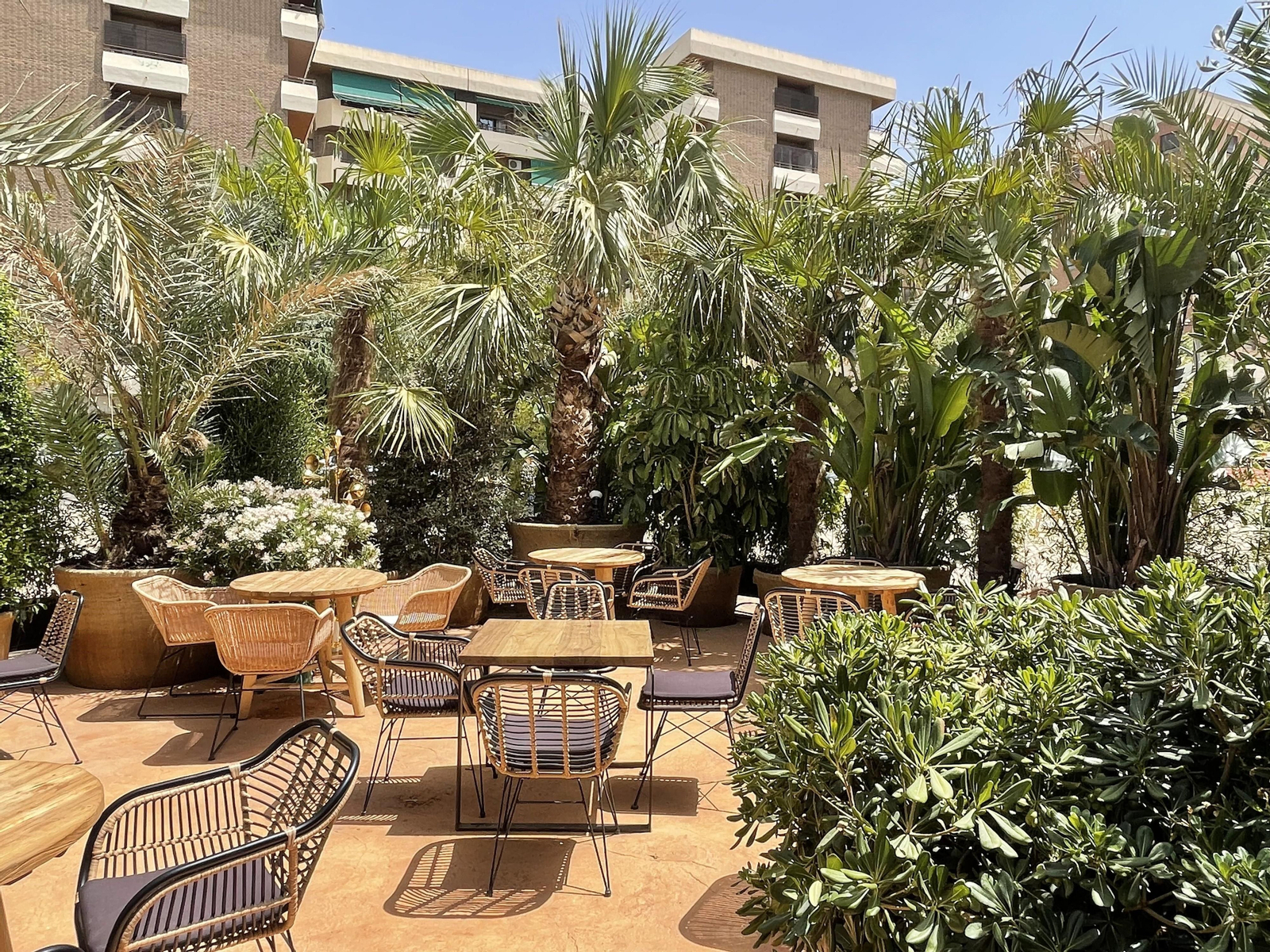 Fotos de 'La Loca María', el nuevo local de moda de Granada