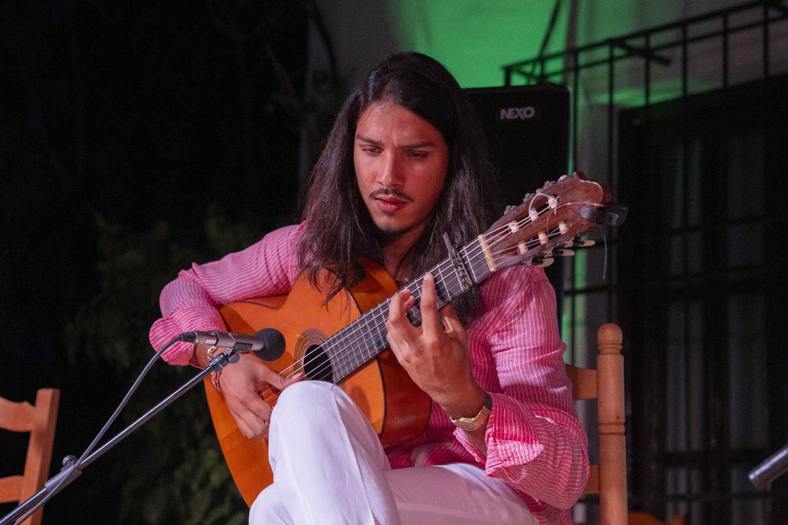 Las mejores imágenes del Festival de Flamenco en Fondón